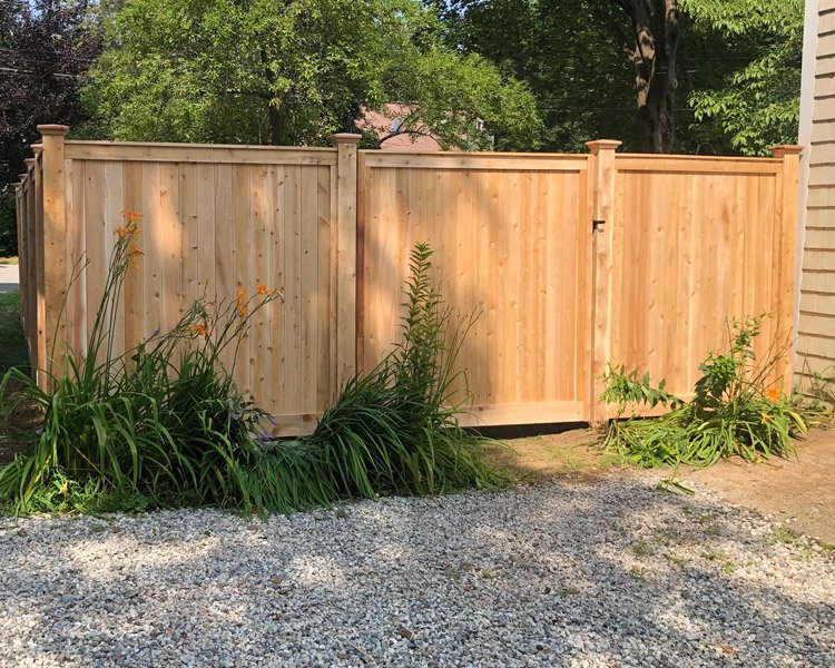 Tongue and Groove Fence with Gate