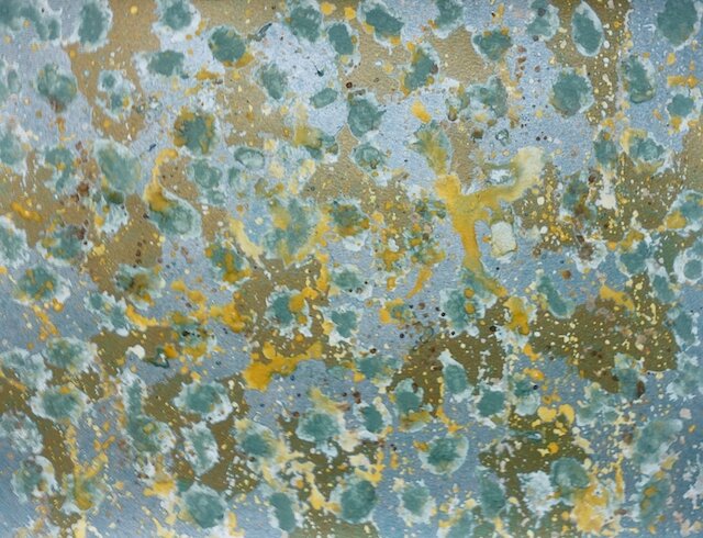 Tamara Bedford Print