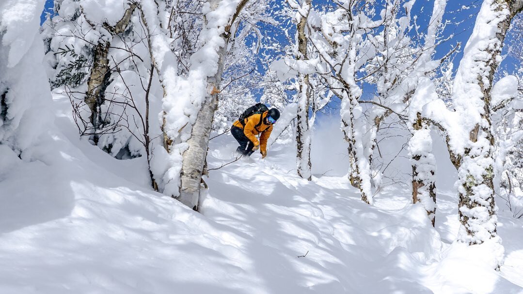One spot remaining! 

It may not look like it now, but days like this aren&rsquo;t that far off. SplitboardVT is leading a Tour at Camels Hump through @catamounttrail in February!

It&rsquo;s free to join. All info, including how to signup can be fou
