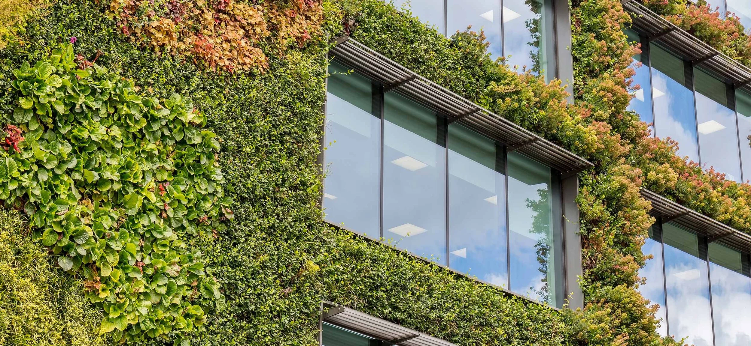Green-Building-with-Amvic-ICF-Systems.jpg