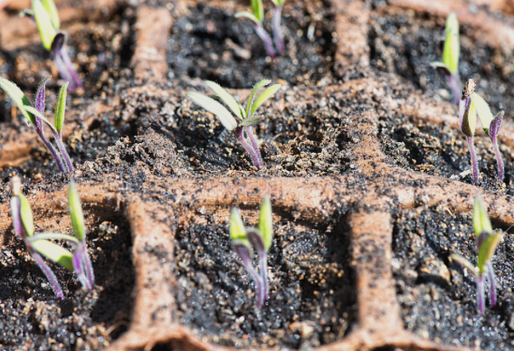 Project Implementation