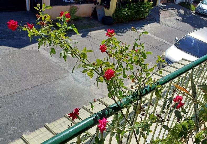 Education and Training