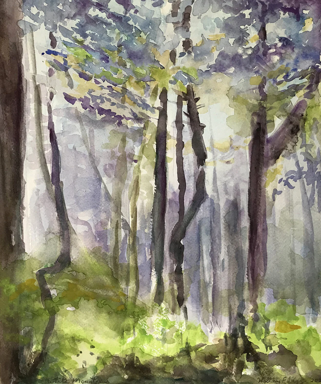 In the White Mountains