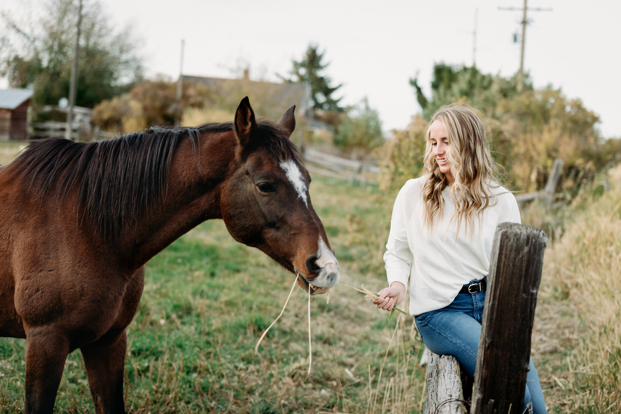 Idaho Falls Senior Photography/Idaho Falls, Idaho