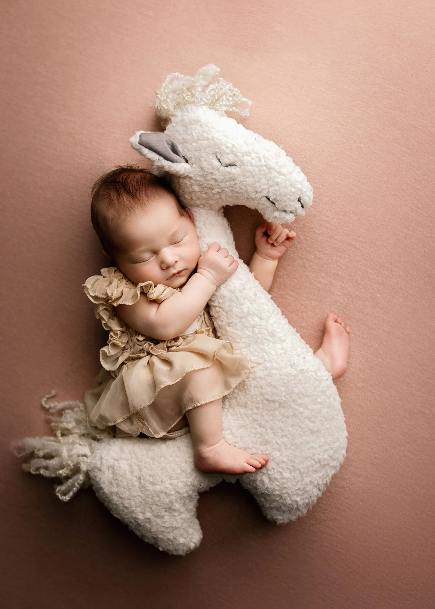 Newborn posed riding plush llama prop in styled studio setup