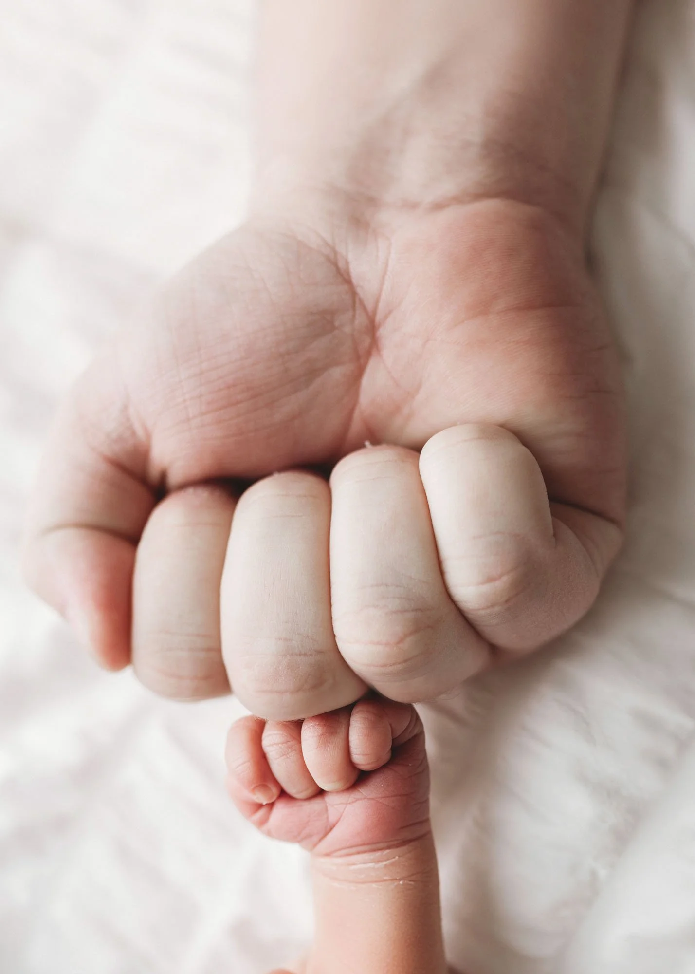 Close up of newborn holding parents fingers during newborn photography session