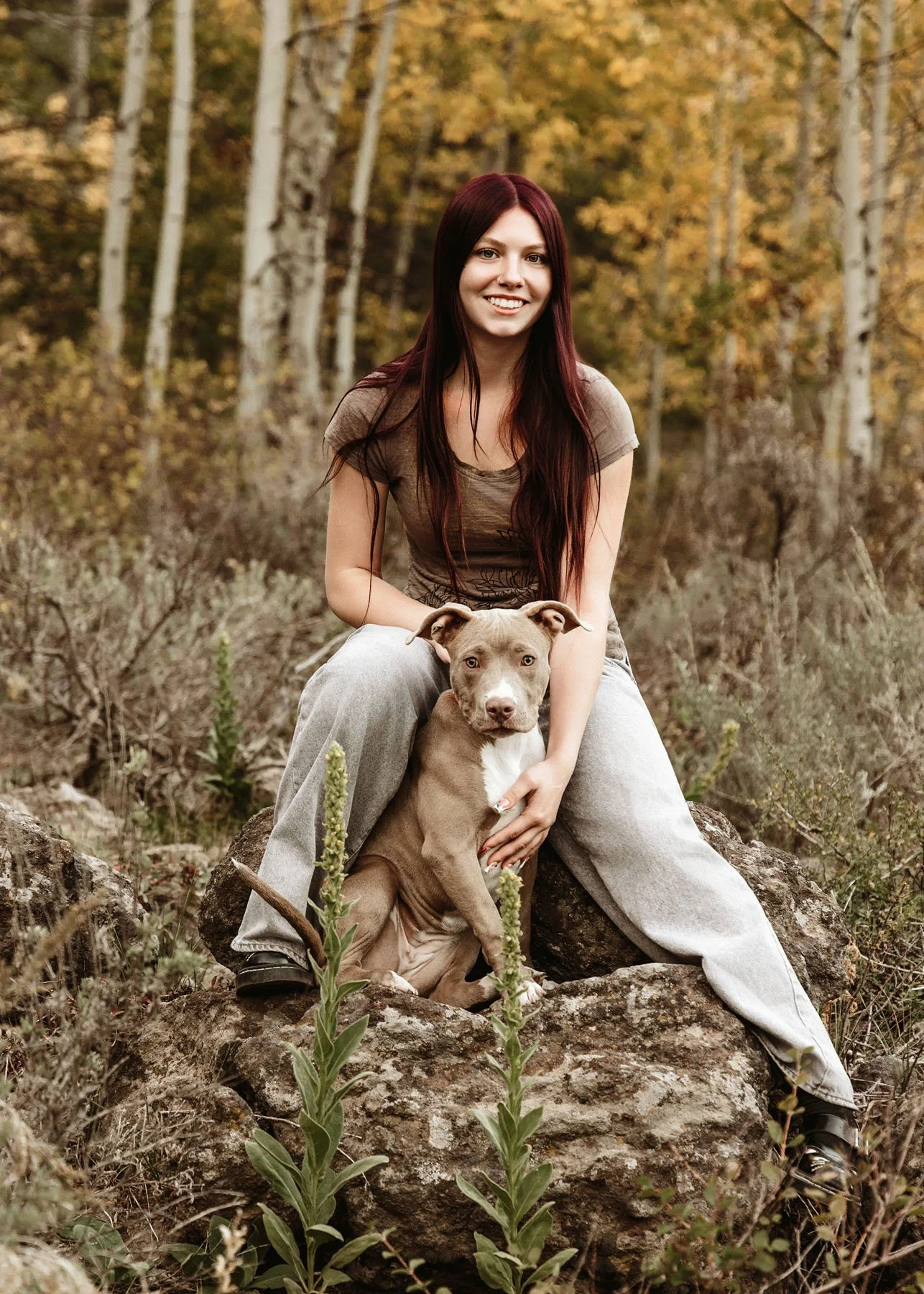 Senior girl sitting on rocks with dog and aspens behind