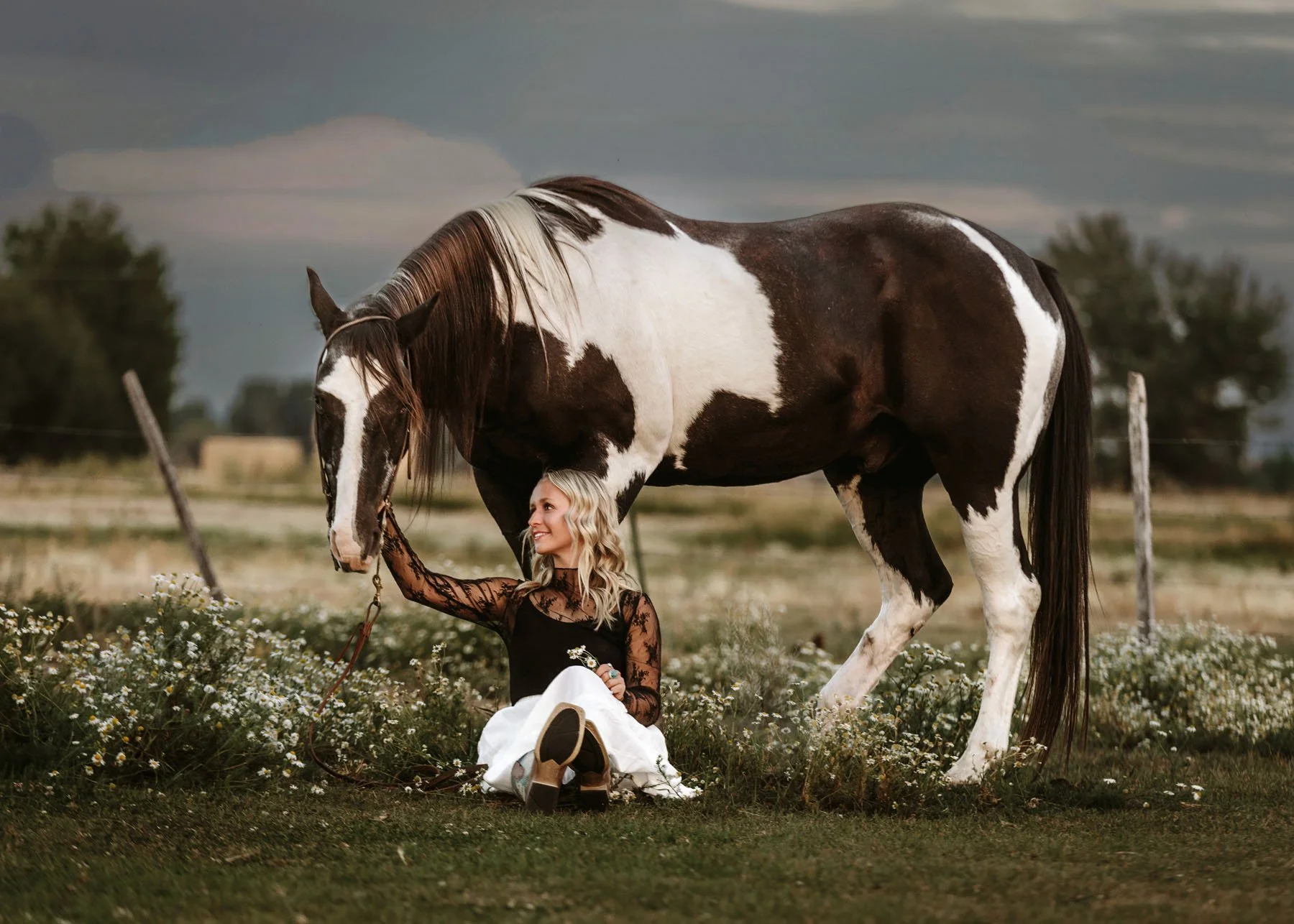 Teen girl sitting in field of white flowers with horses behind