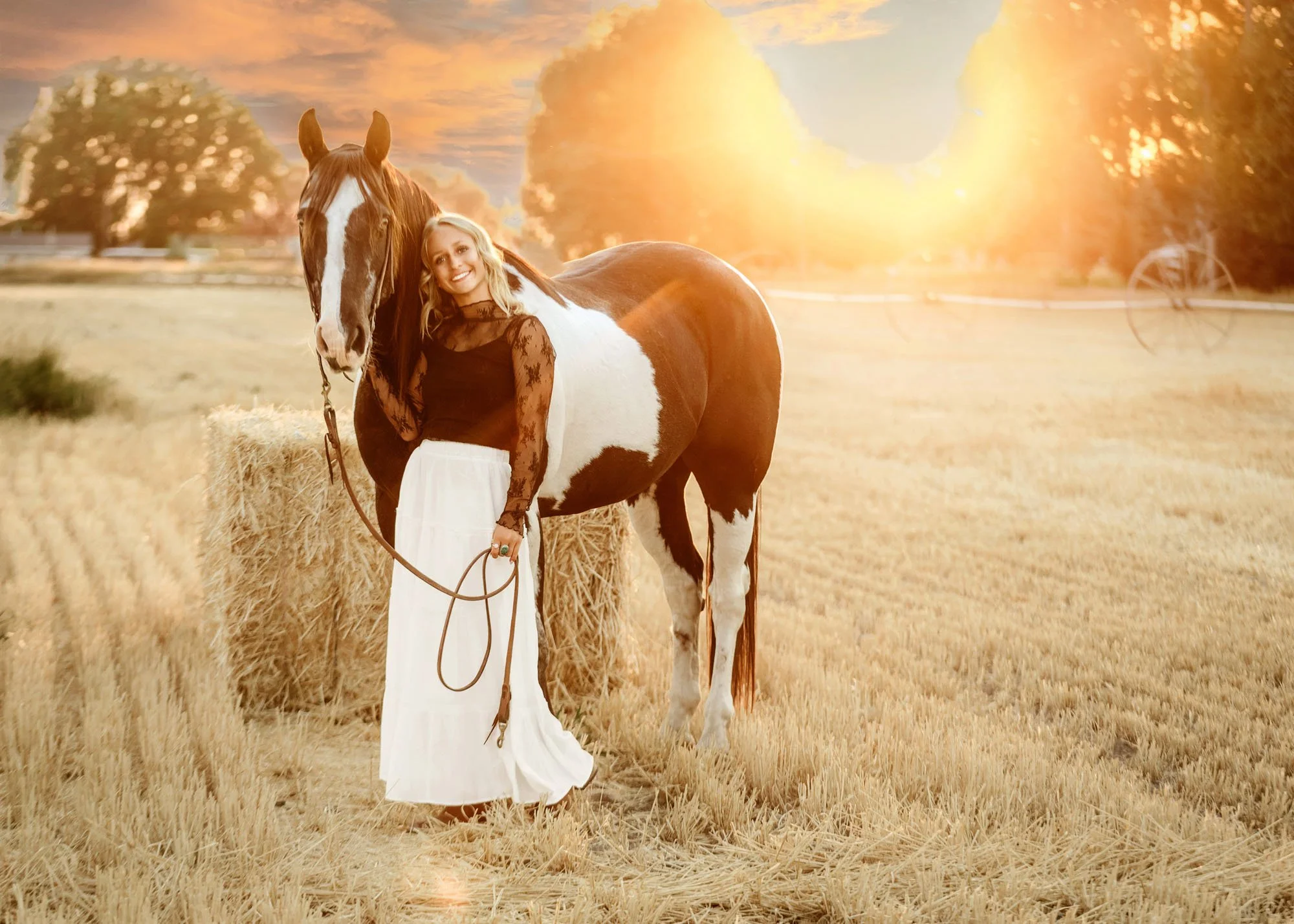 Senior girl posing with horses outdoors during sunset