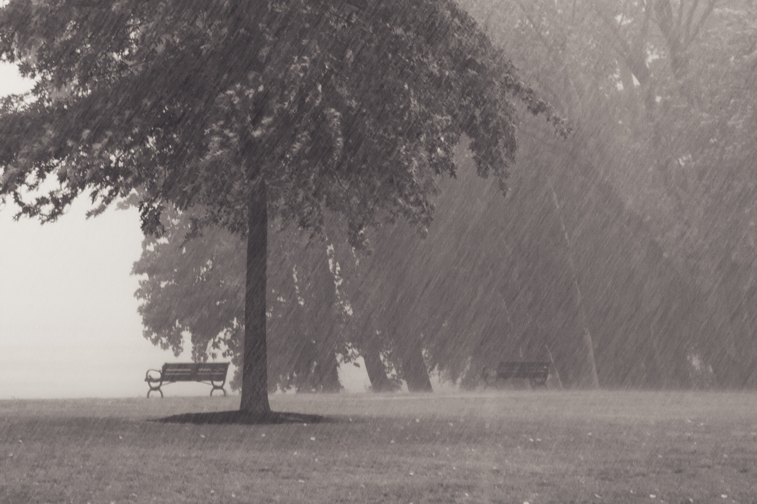 Rain - Copy.jpg
