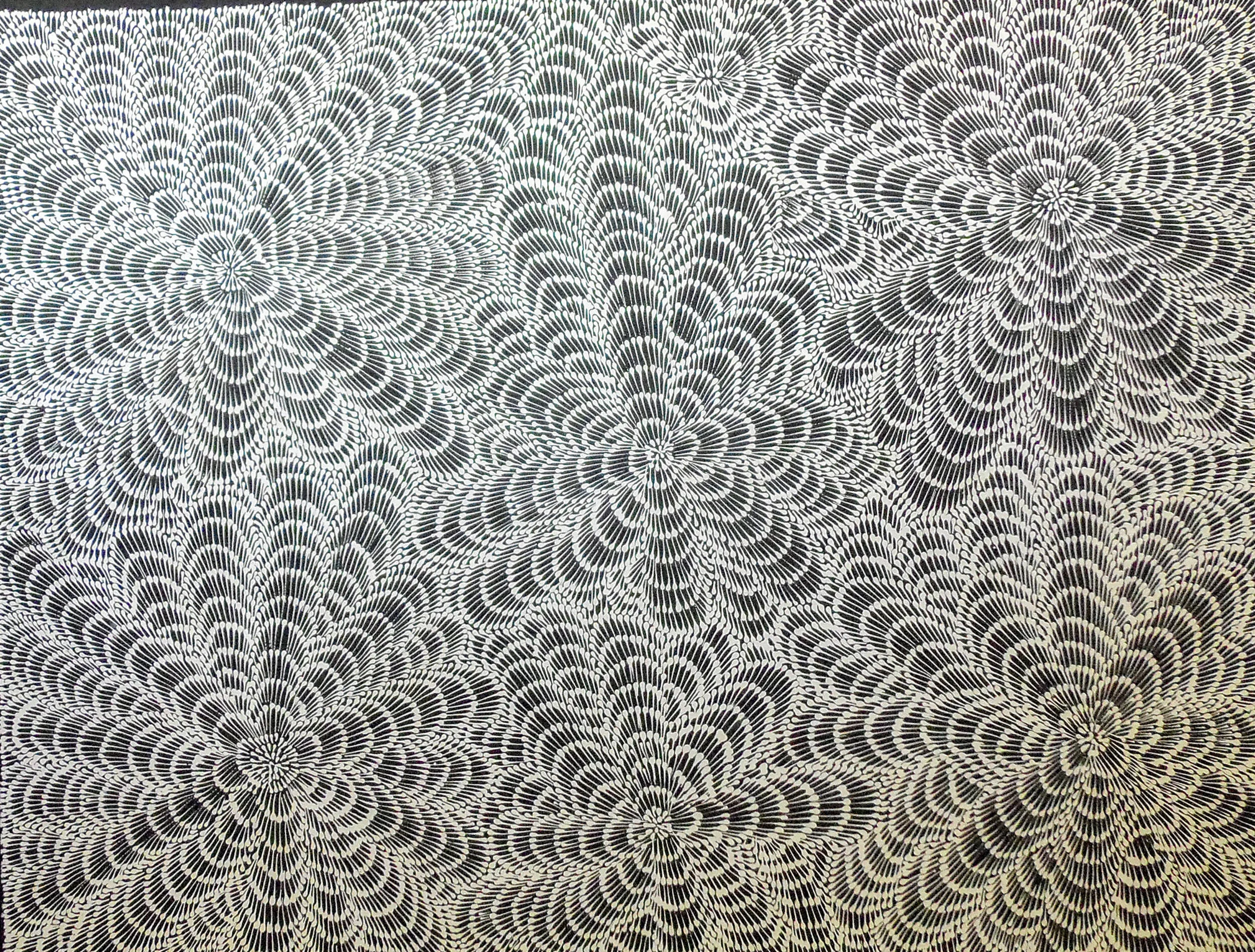 Contemporary Aboriginal Artwork - Sandra Pitjara Jones - Awelye (Women's Business) 02