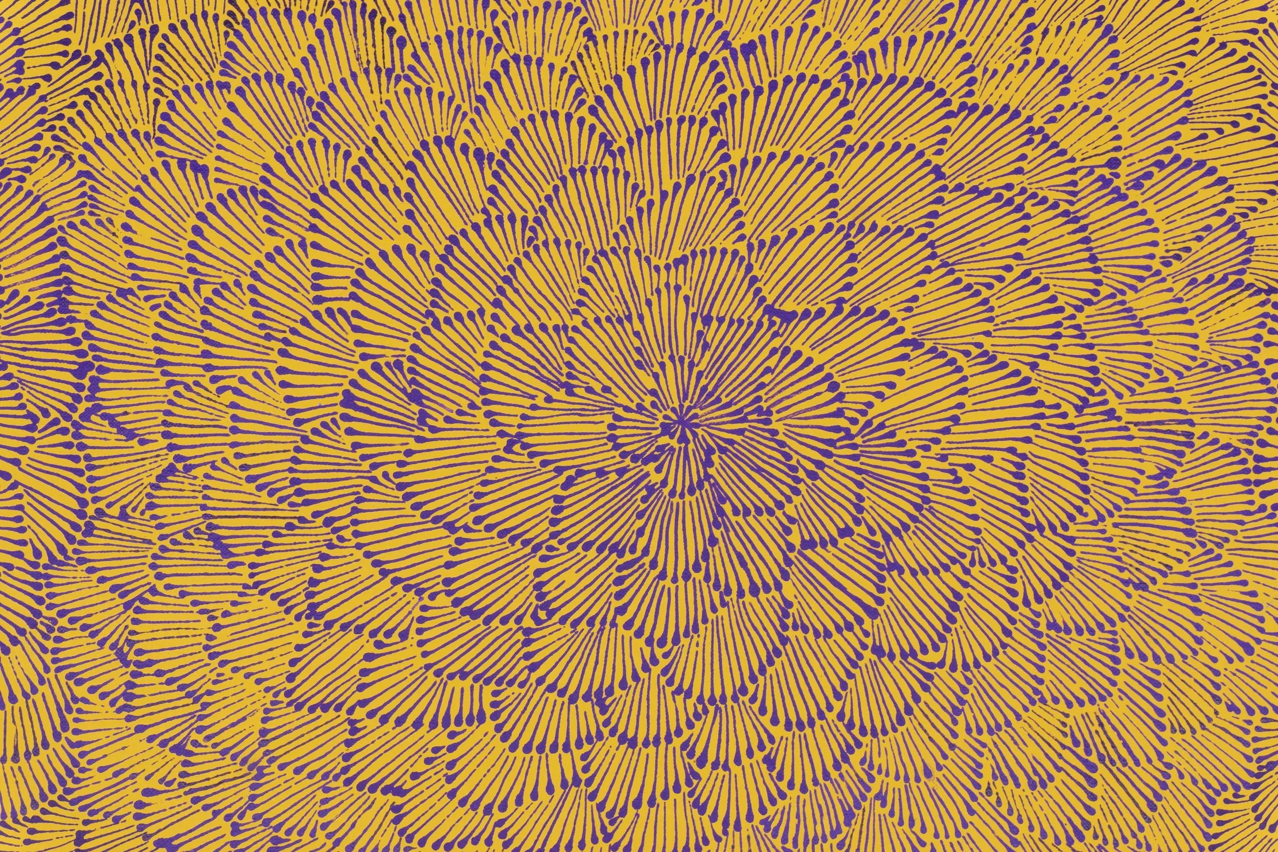 Contemporary-aboriginal-artwork- Rhonda Pitjara Jones- Honey Bush Grevillea 01