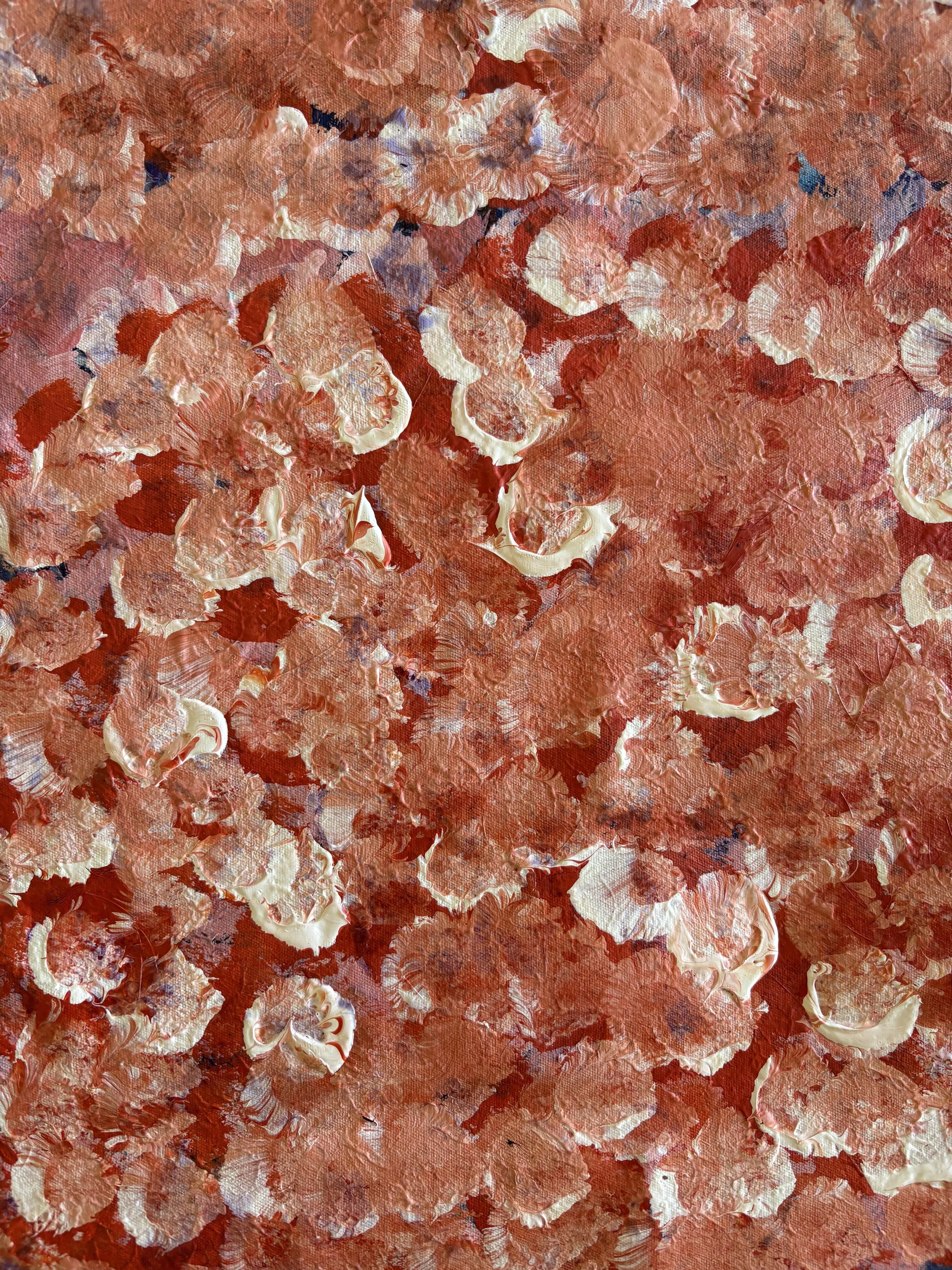 Bush Plum Dreaming