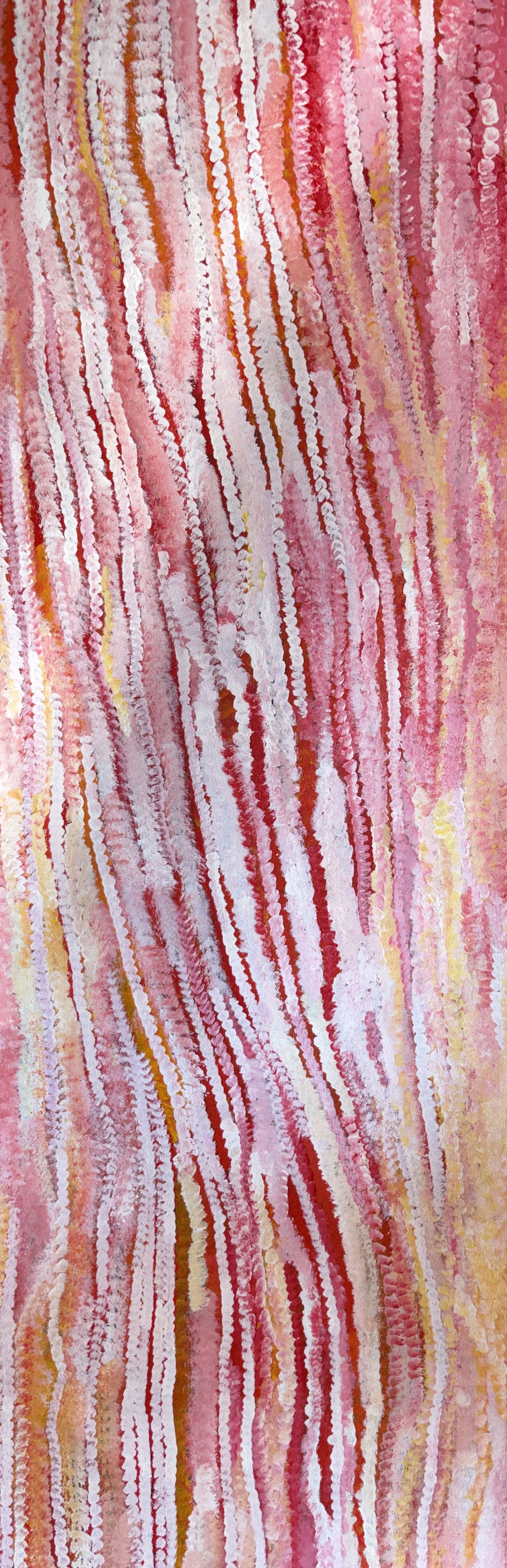 Bush Plum Dreaming