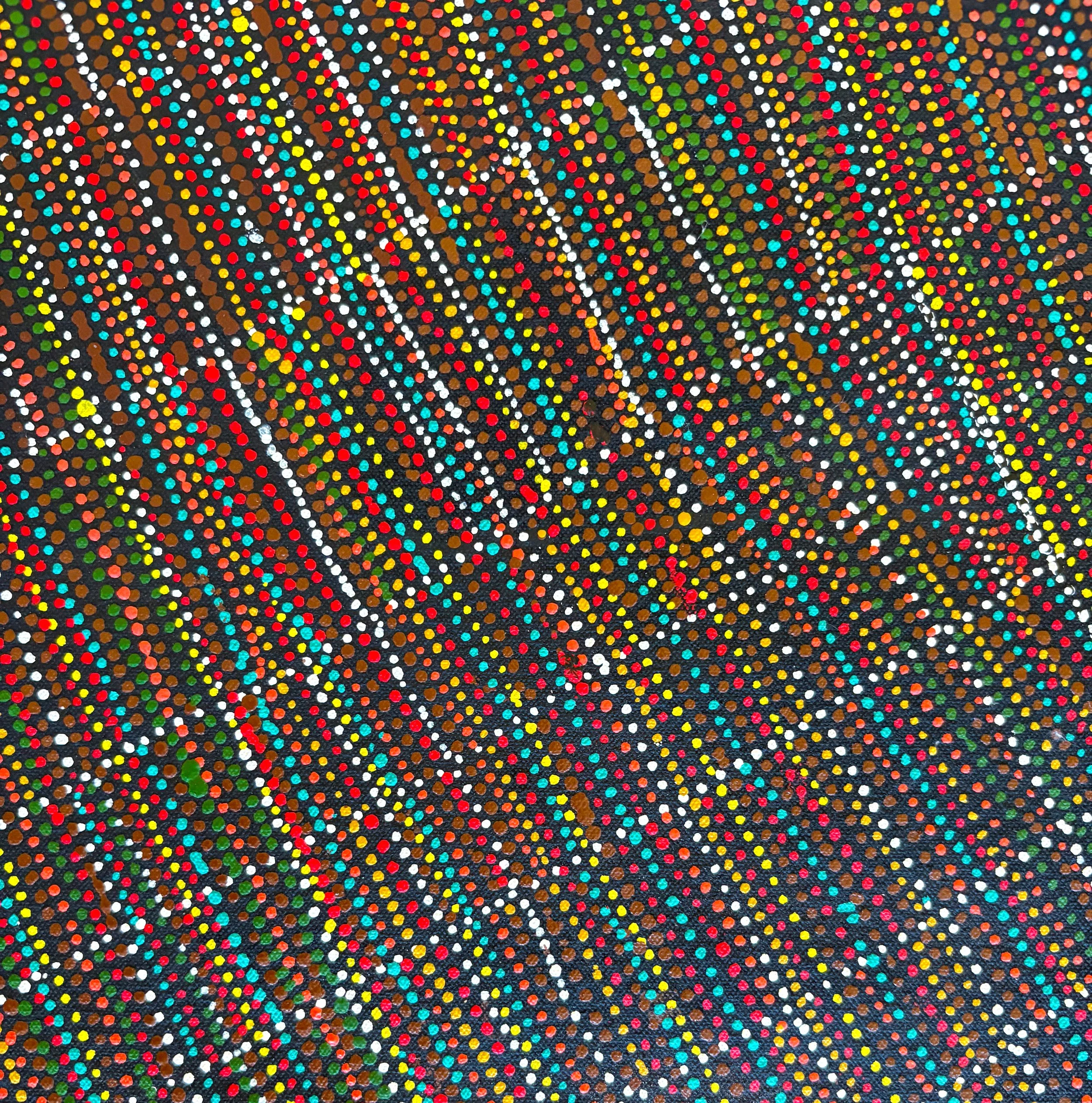 Lizzie Pwerle detail LP3250.26.jpg