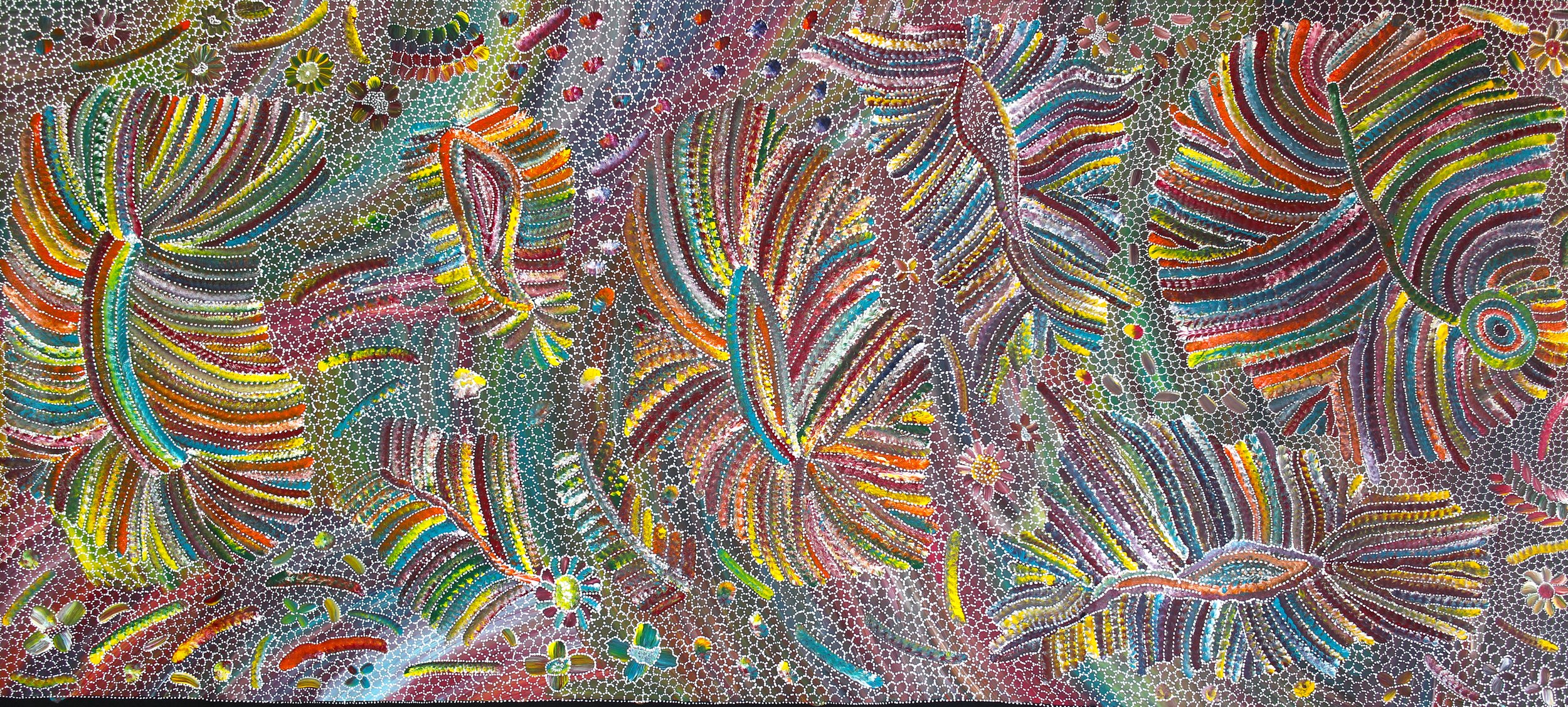 Jedda Ngwarai Purvis large image JP3241.26.jpg