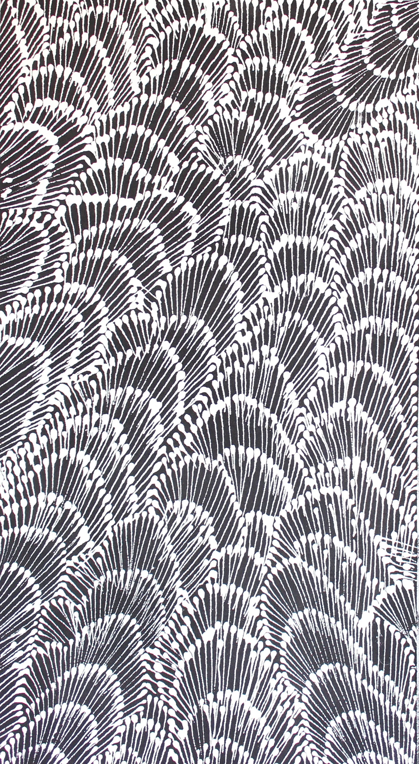 Sandra Jones full image SJ3243.26.jpg