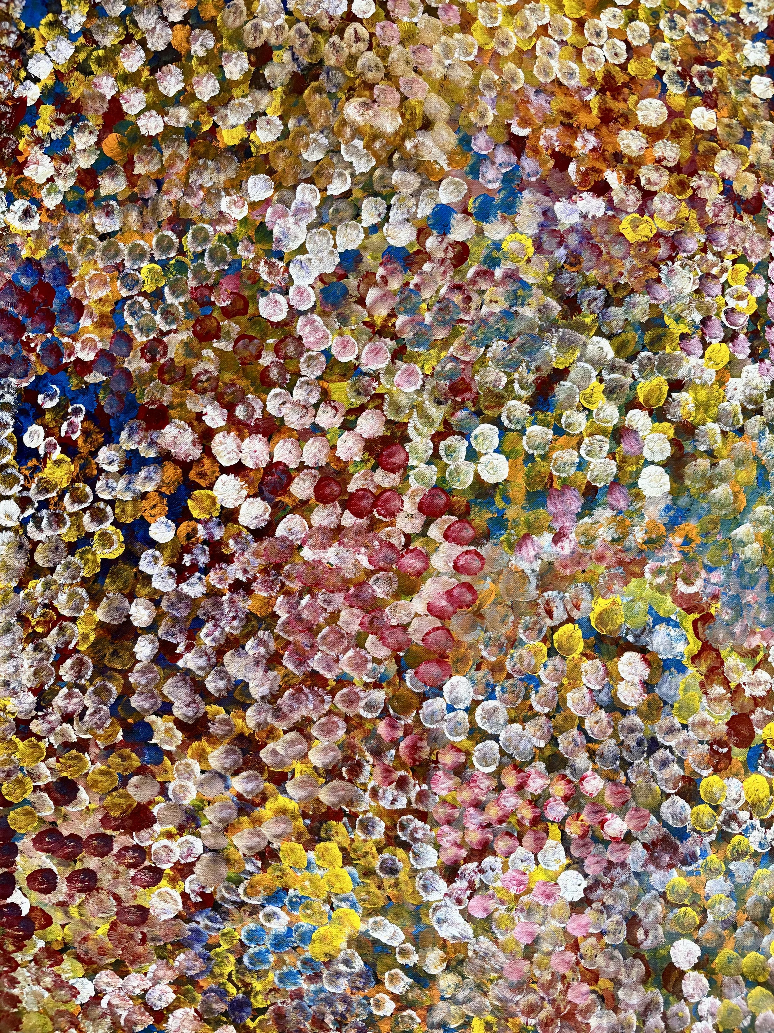 Bessie Pitjara full image BP1703.jpeg