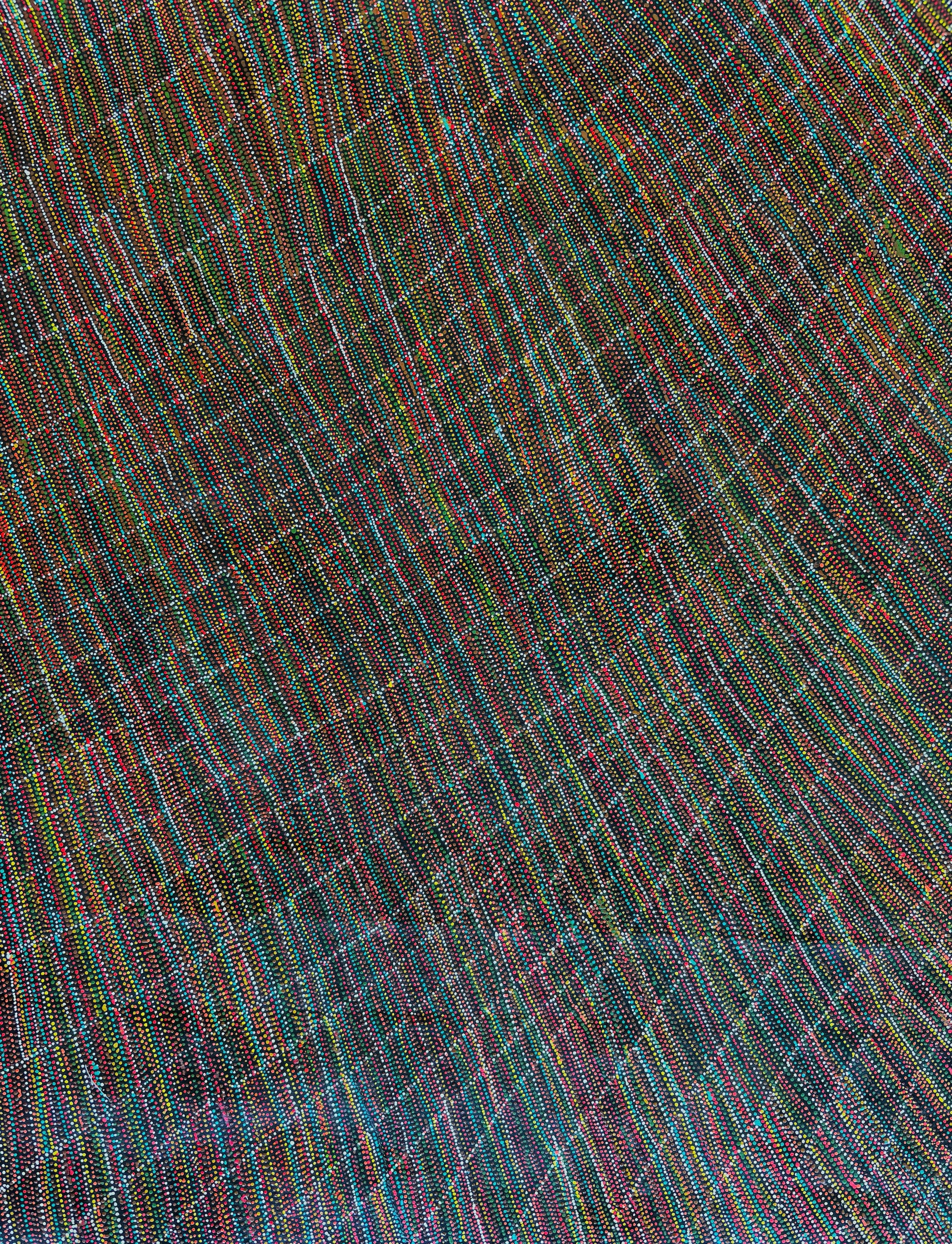 Lizzie Pwerle full image LP3250.26.jpg