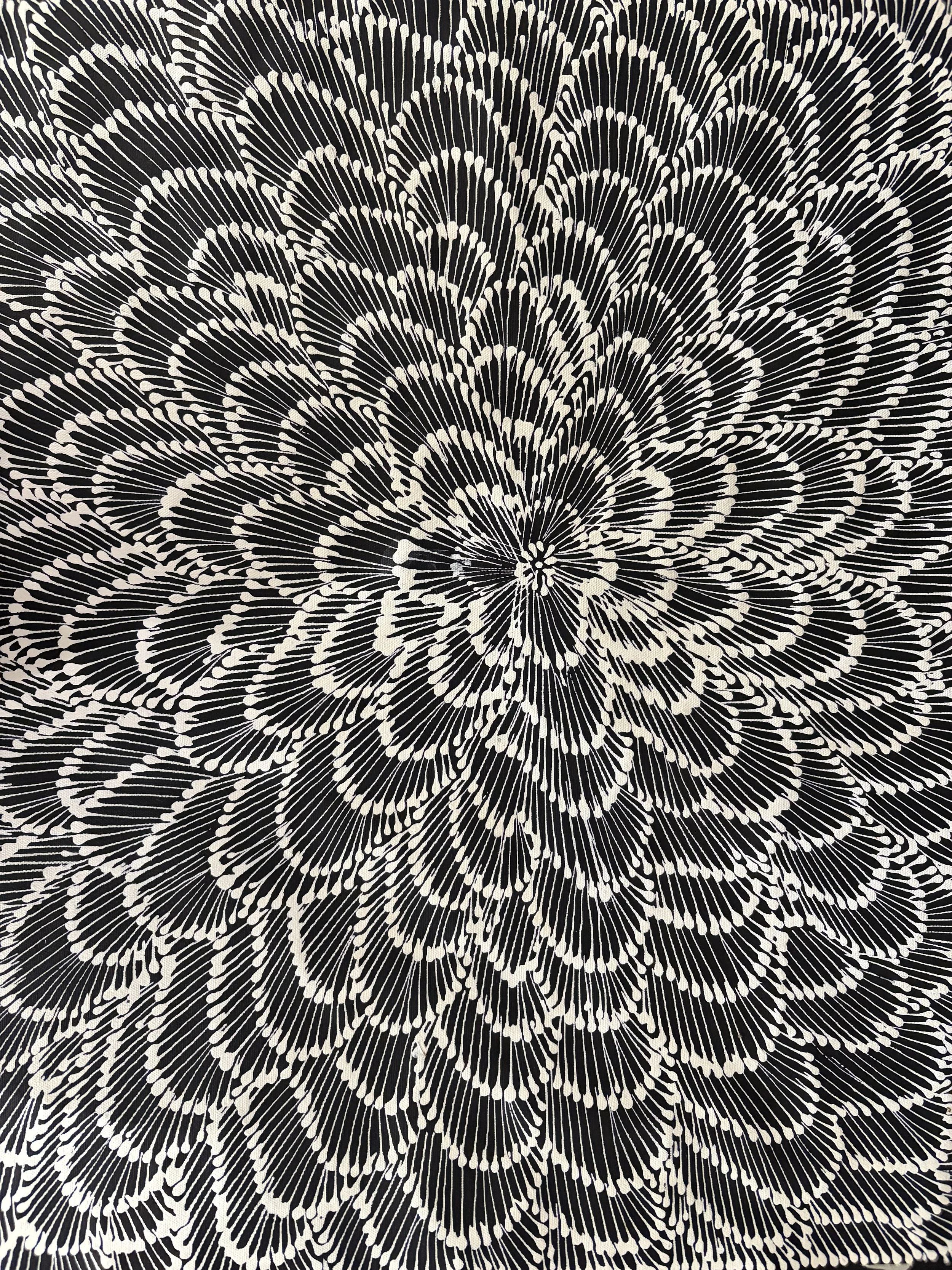 Sandra Jones full image SH3233.JPG