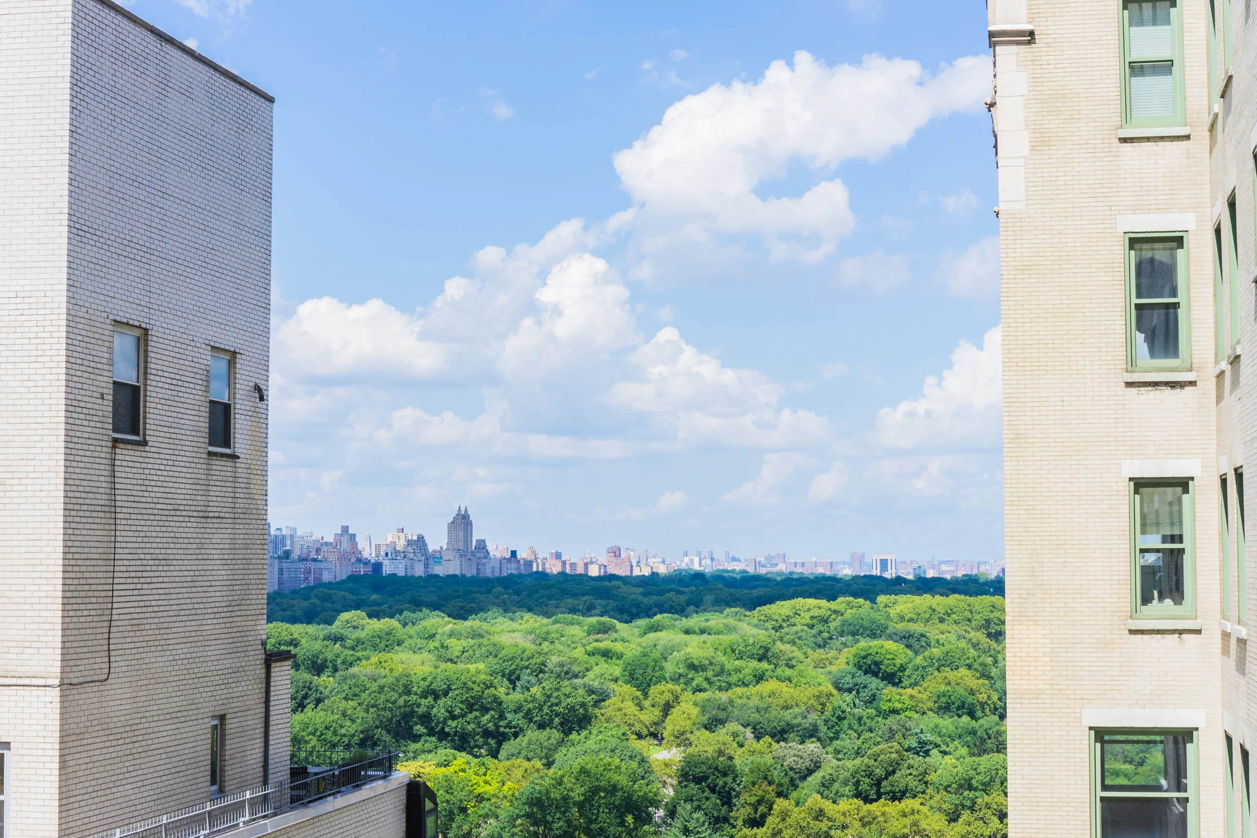 central park.jpg