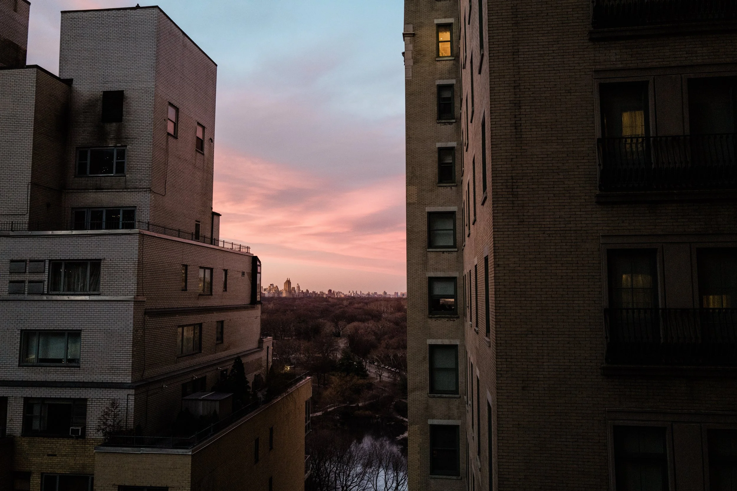 L1001303.jpg