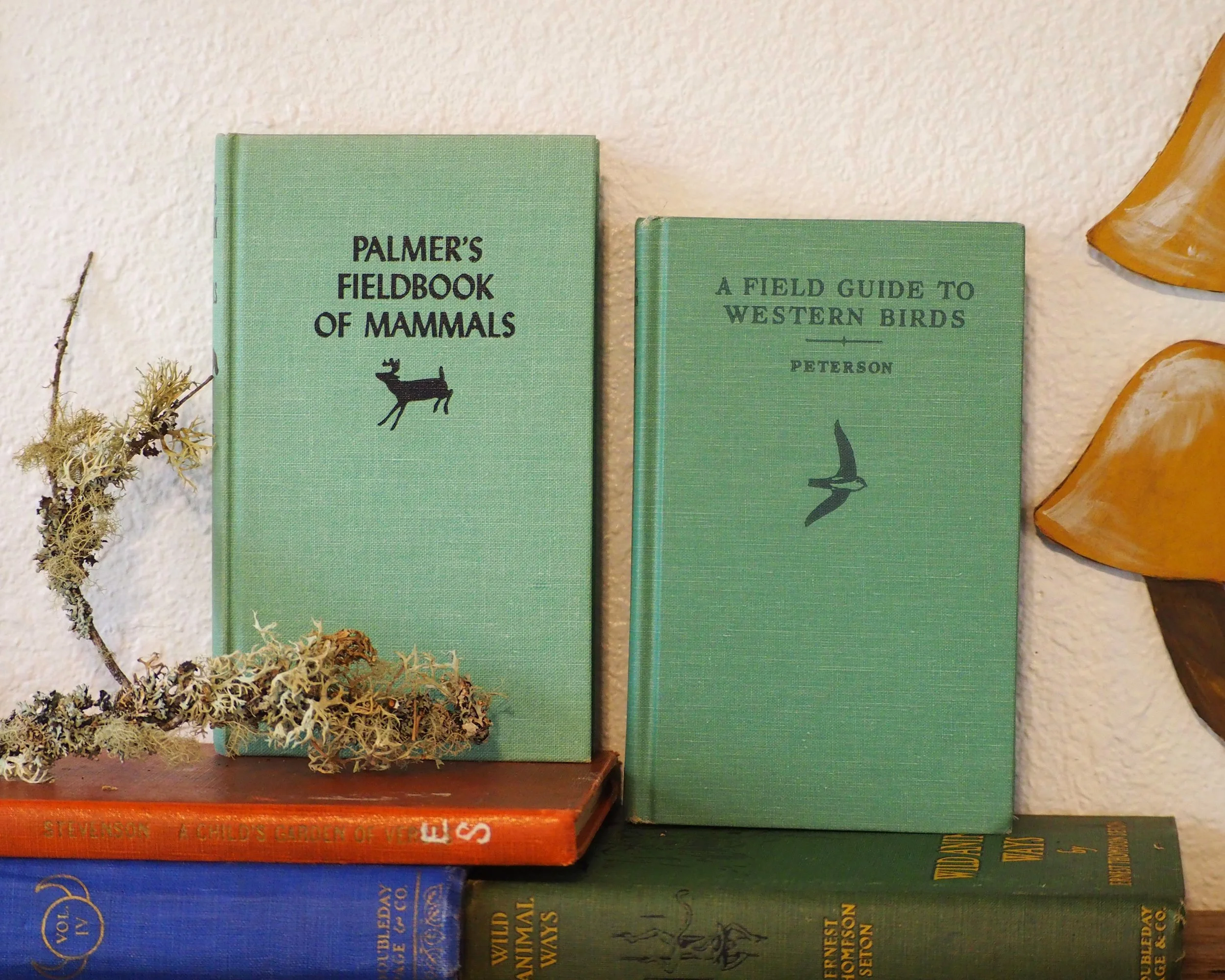 Field Book Duo: A Field Guide to Western Birds and Palmer’s Fieldbook of Mammals