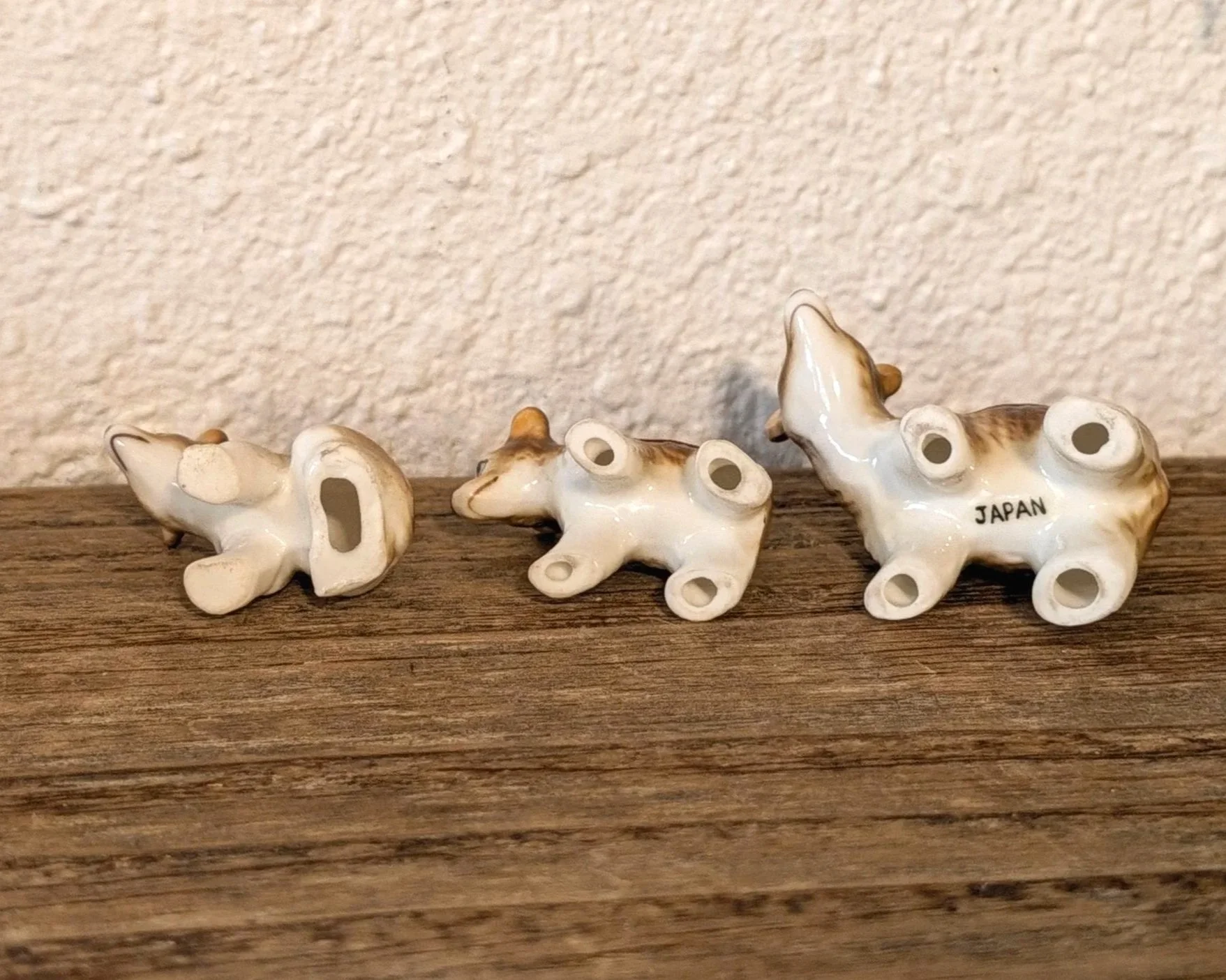 PXL_20260929_230250375.jpg