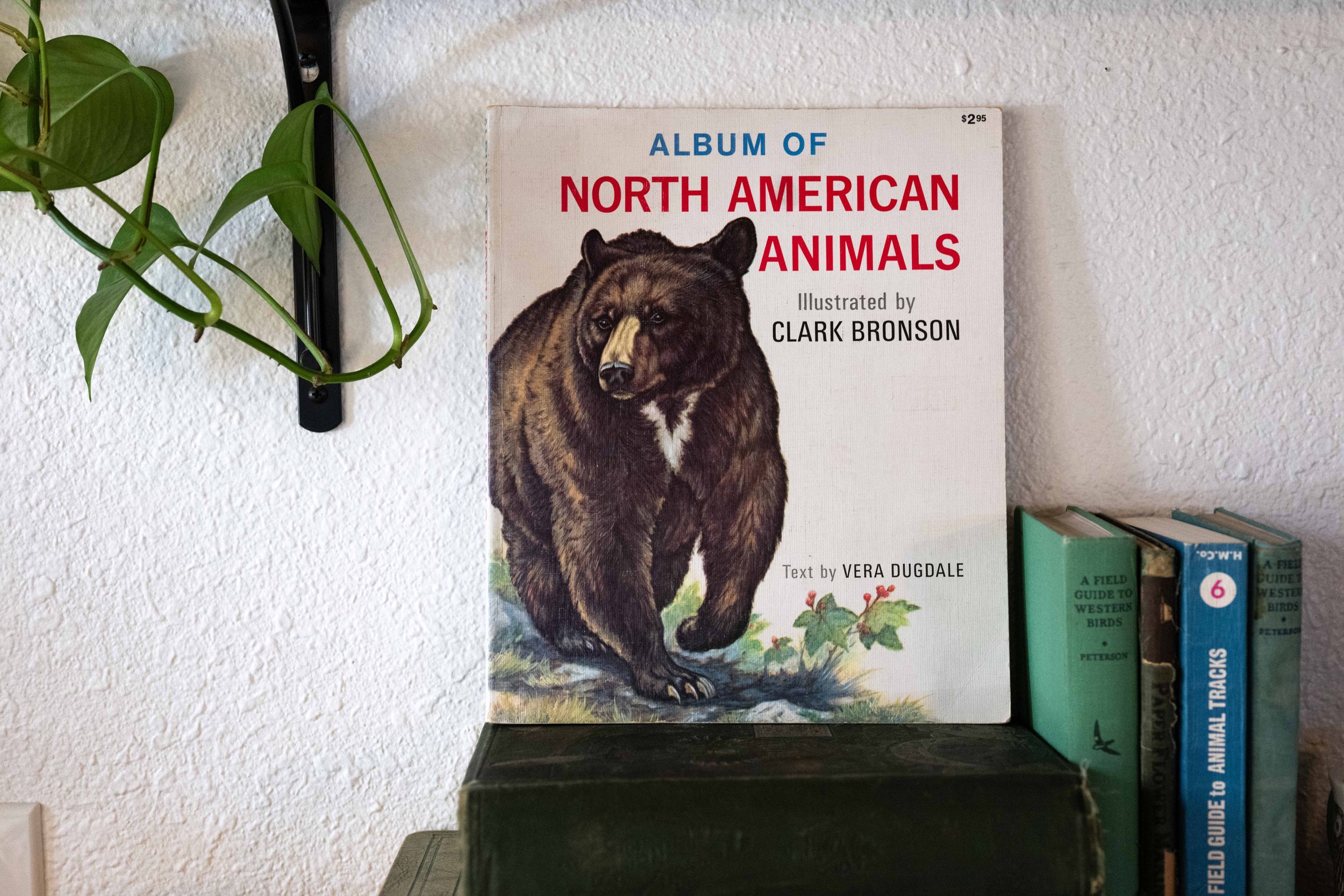 Album of North American Animals, Illustrated Wildlife Book