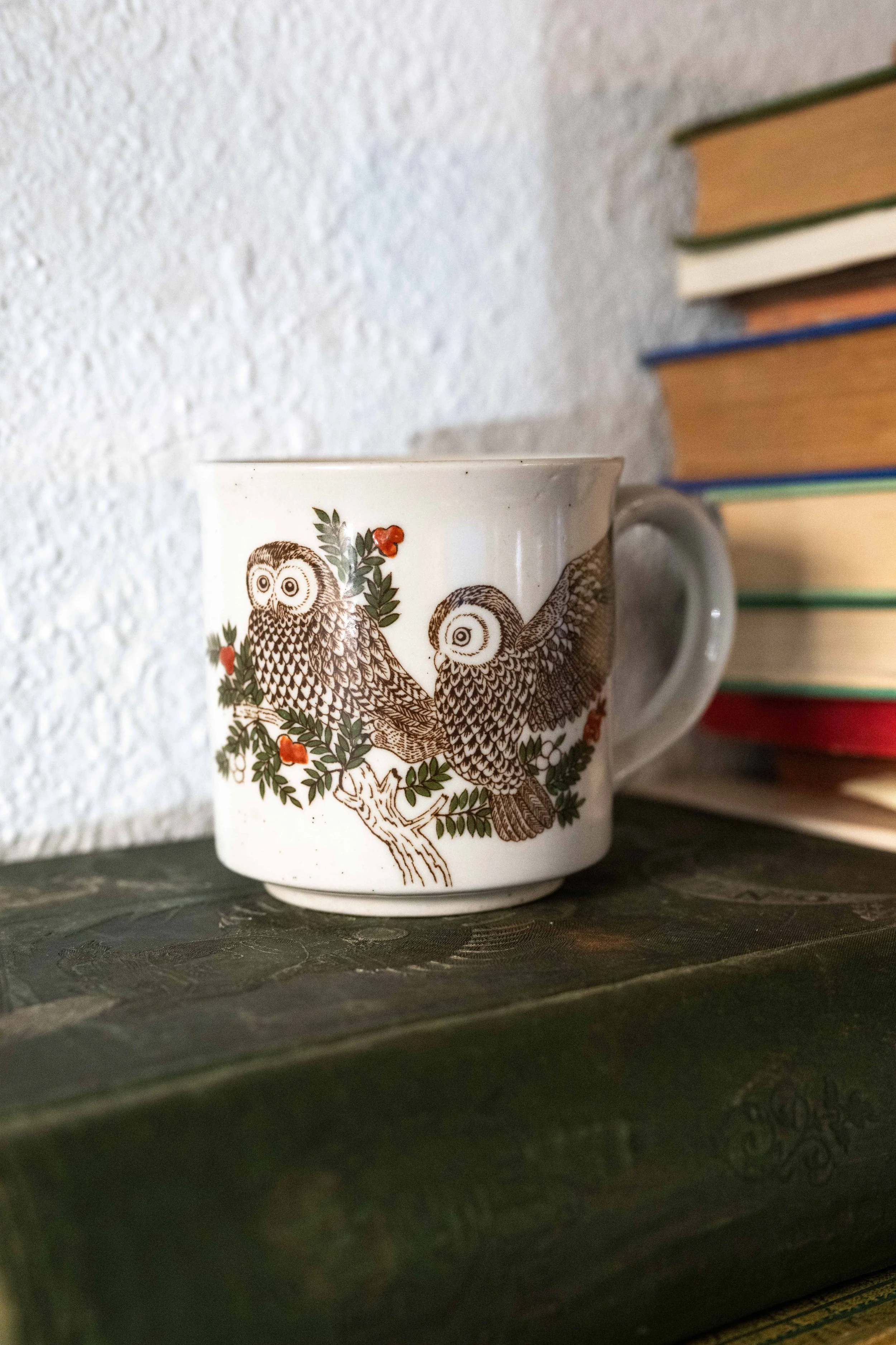 Otagiri Japanese Owl Stoneware Mug