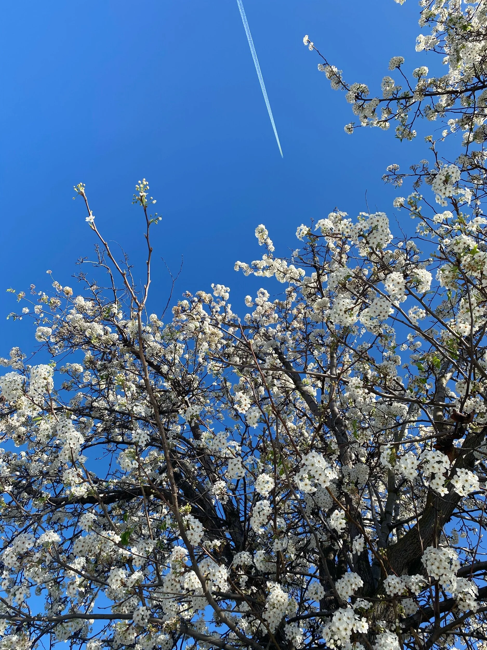 IMG_7149.jpeg