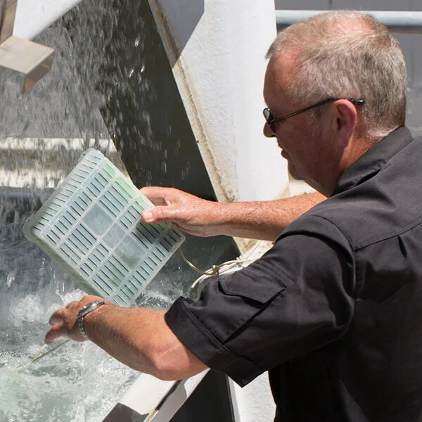 WATER TREATMENT (Copy)