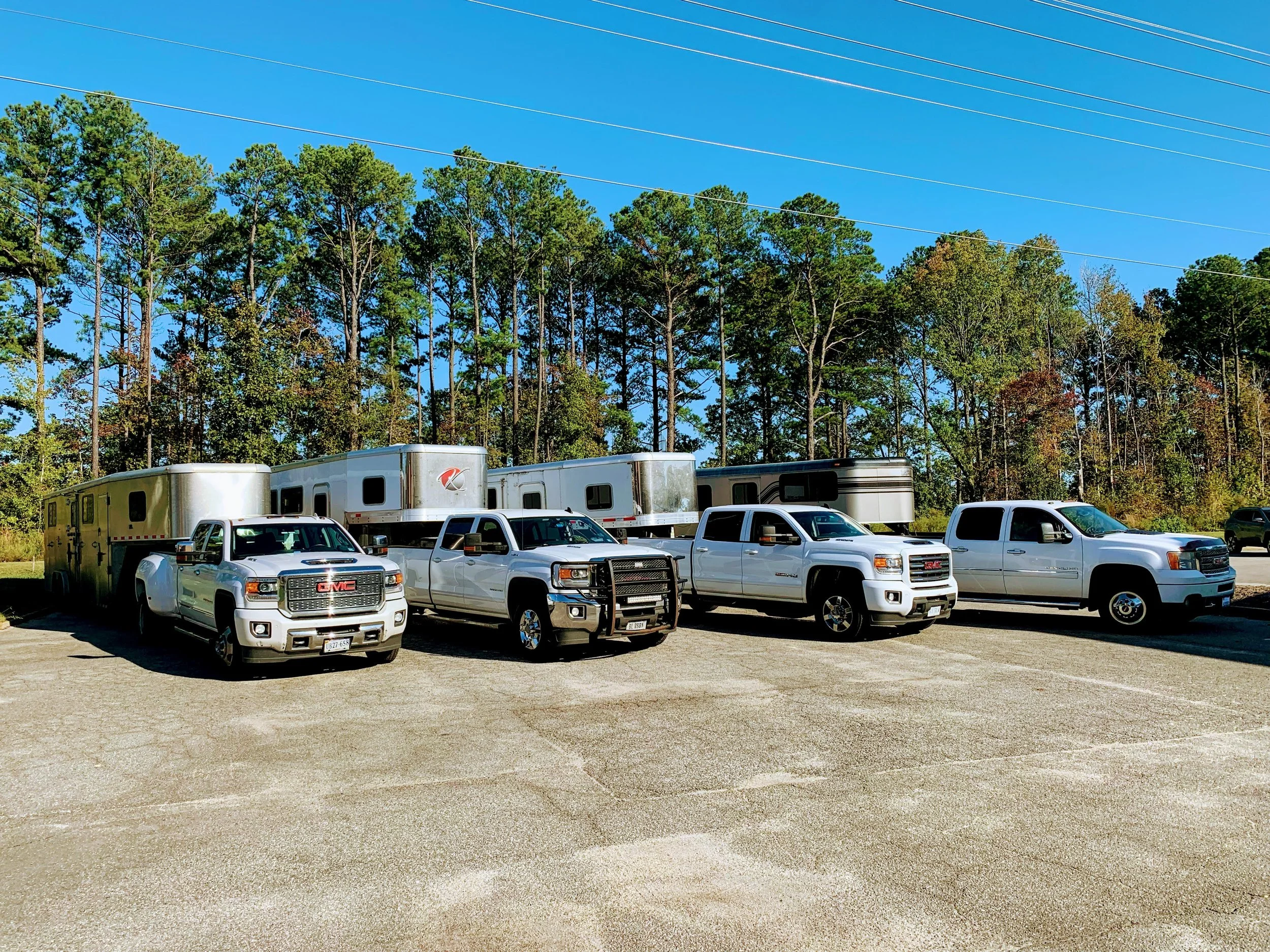 Stall Options — BlueRibbonHorseTrailering