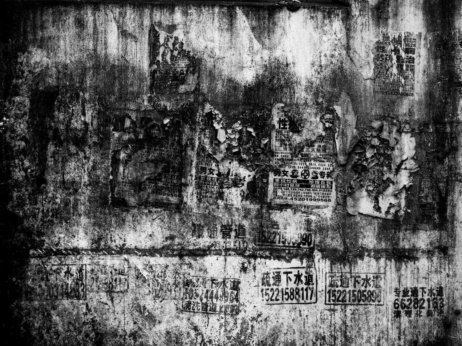 China. Shanghai. 2017.