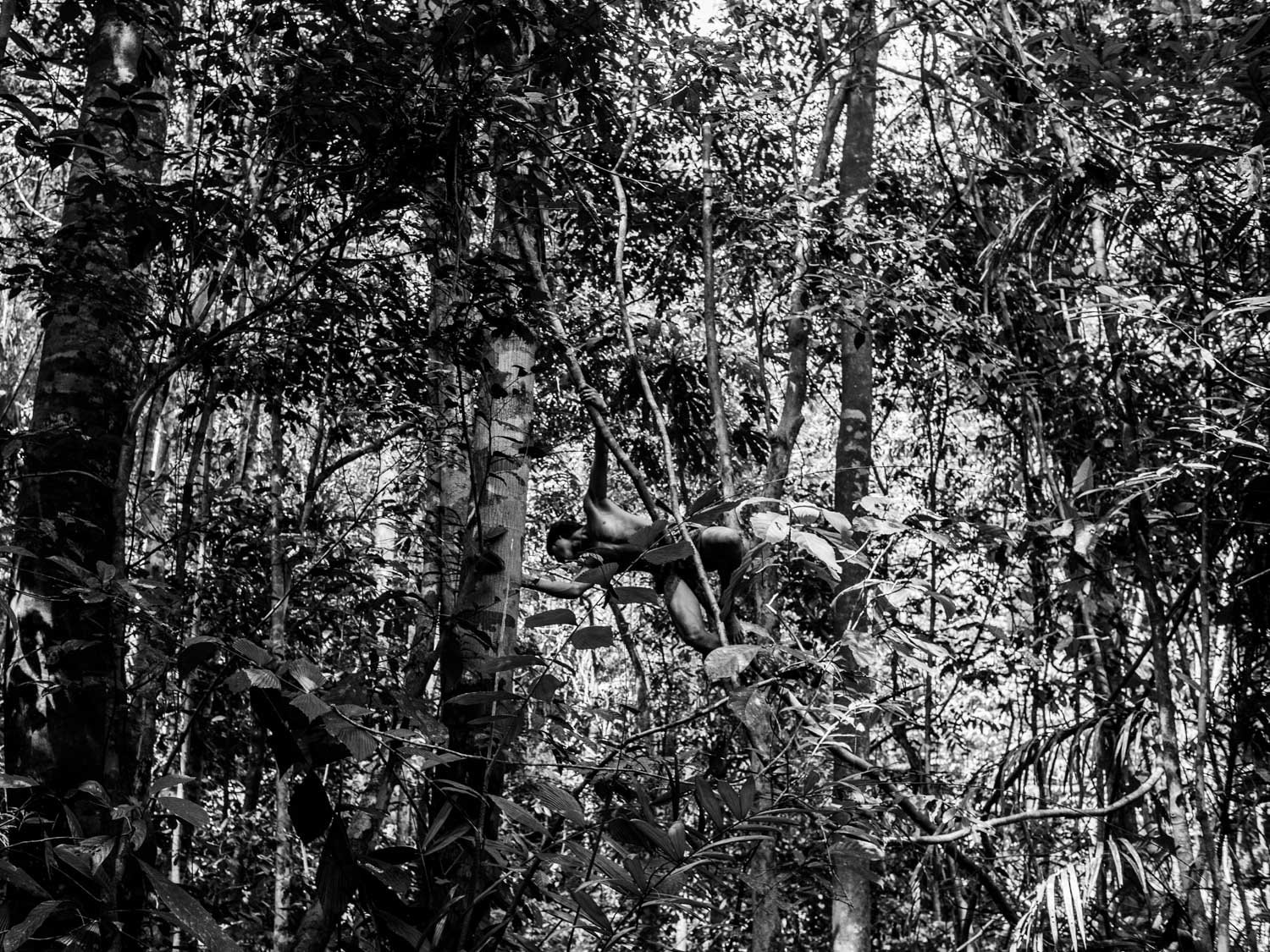 Malaysia. Sarawak province. Penan tribe settlement. 2011.