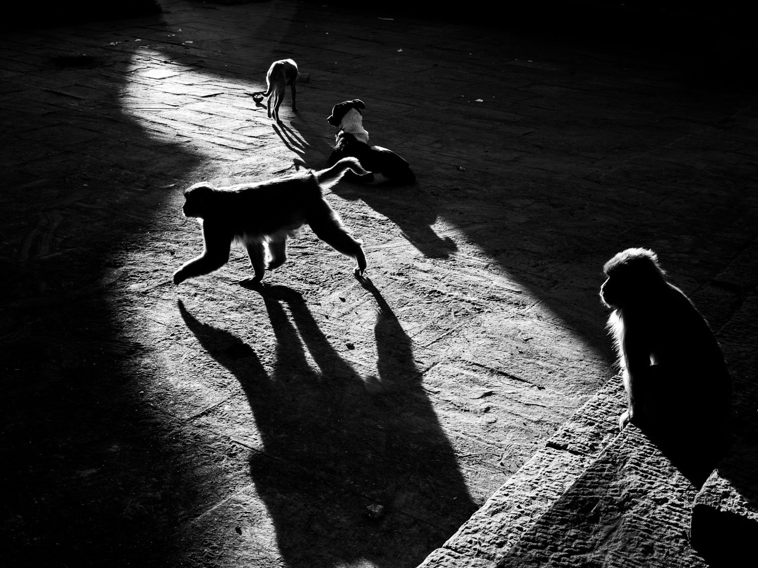Nepal. Kathmandu. 2013.