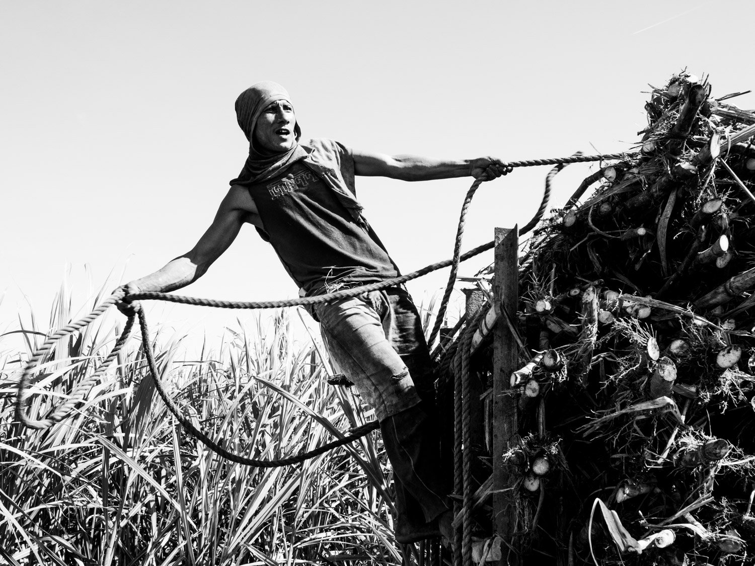Philippines. Negros Occidental. Silay City. Sugarcane worker. 2017.
