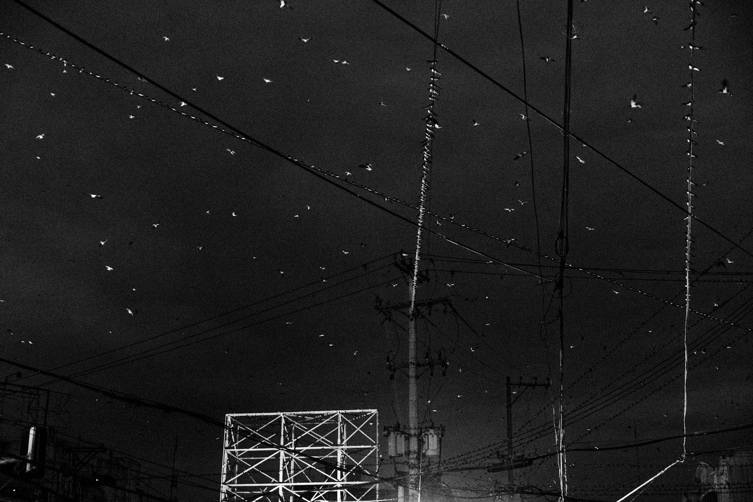 Philippines. Cebu. Cebu City. 2018.