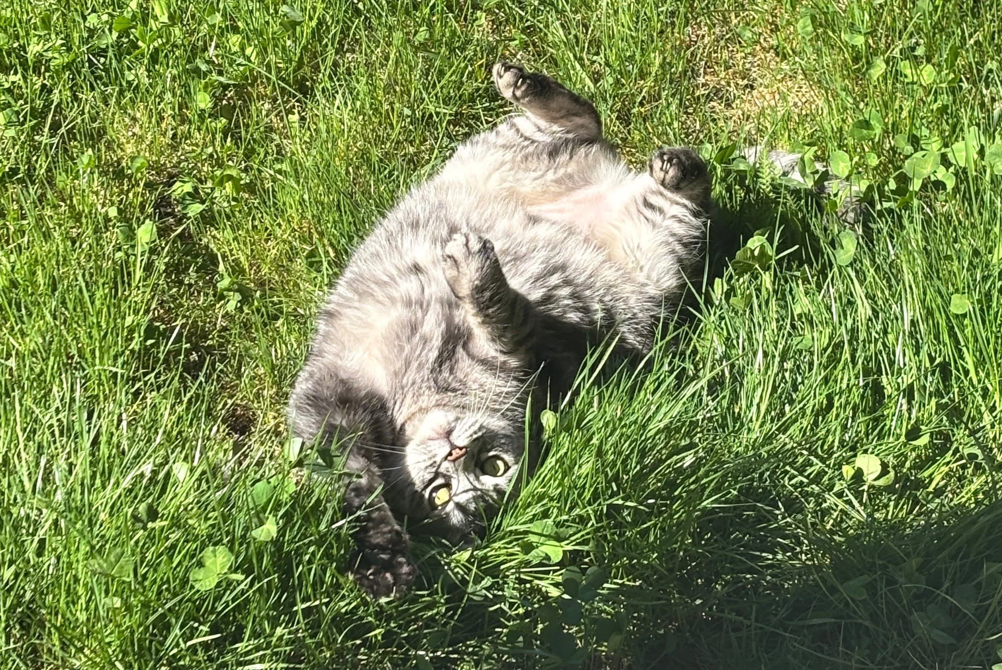 flexibility.