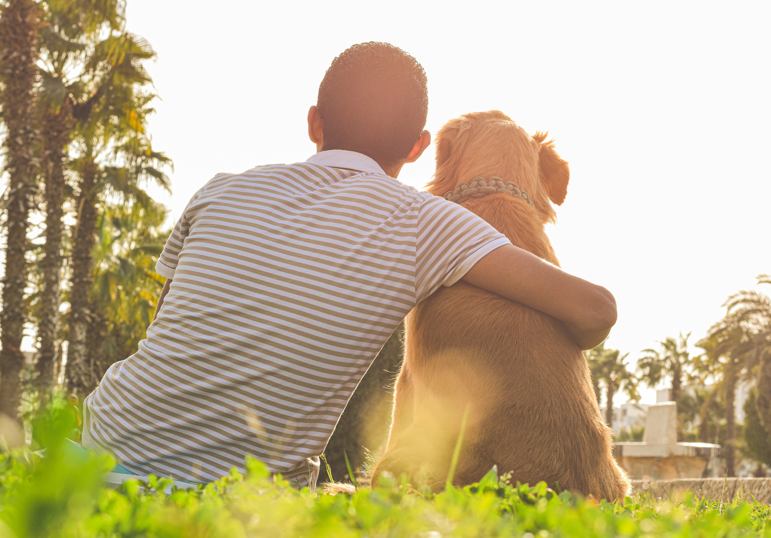 Human animal bond