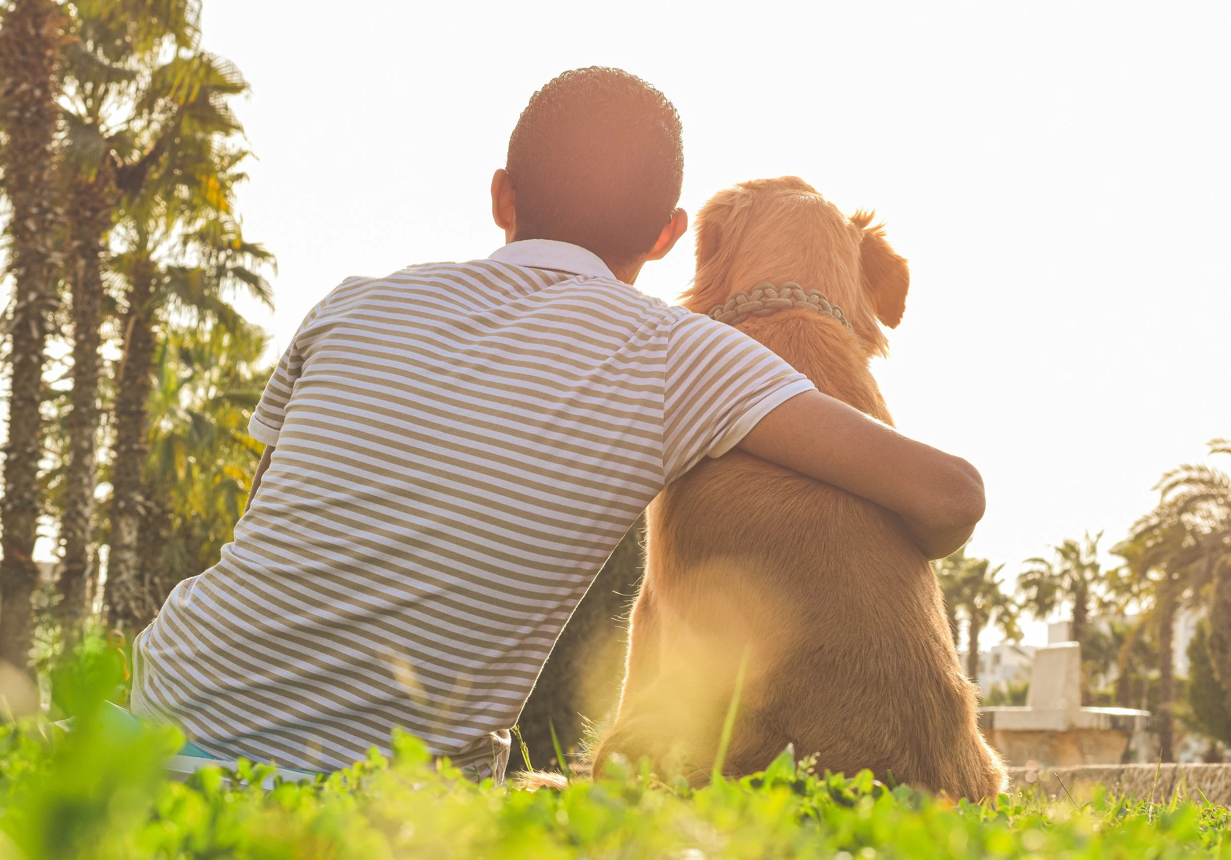 Human-Animal Interaction: Why the Connection Matters