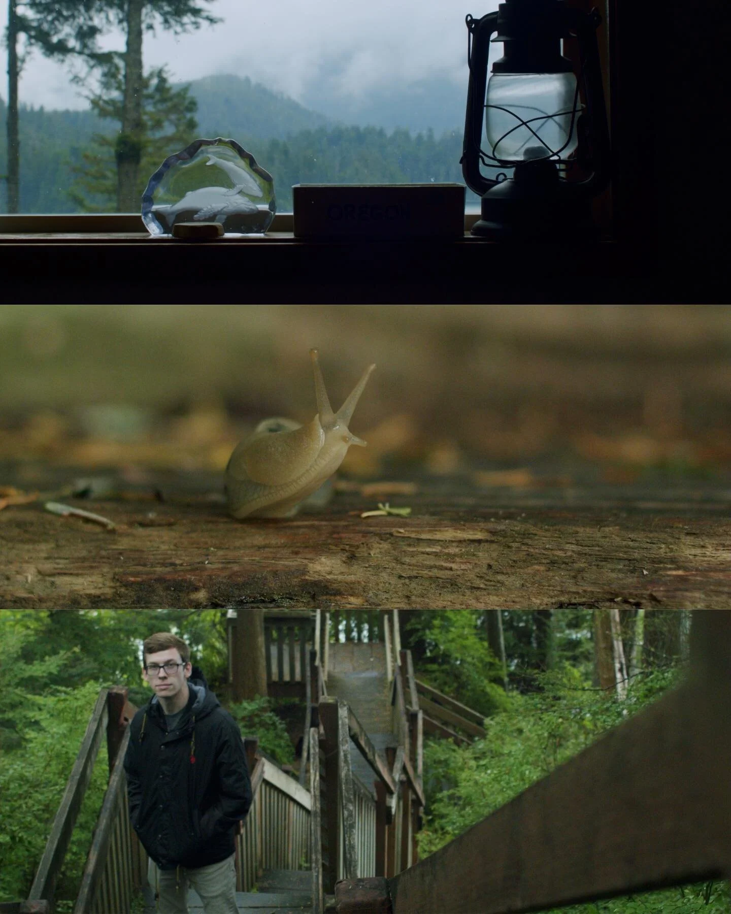 Always nice to see our BUTTERY Natural Rec709 being used on the original BMPCC footage! Gorgeous shots captured by @casey__schoch using a Canon FD 28mm.