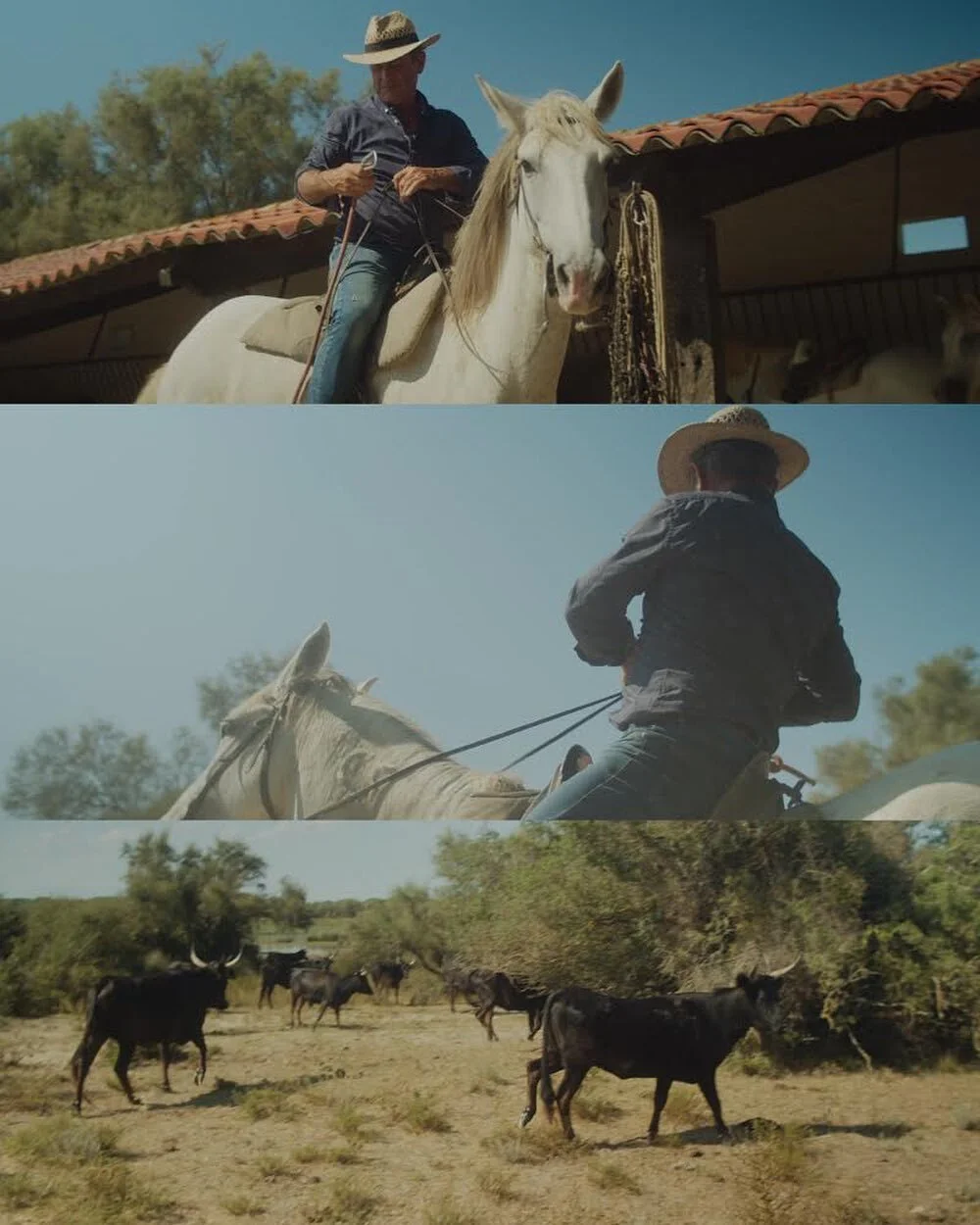 Gorgeous shots captured by @rowsfilms on his BMPCC4K + Canon FD. Graded with our BUTTERY Natural Rec709. Guys, we are launching our new website: butteryluts.com and we are looking for content from all our amazing users. We&rsquo;re building an entire