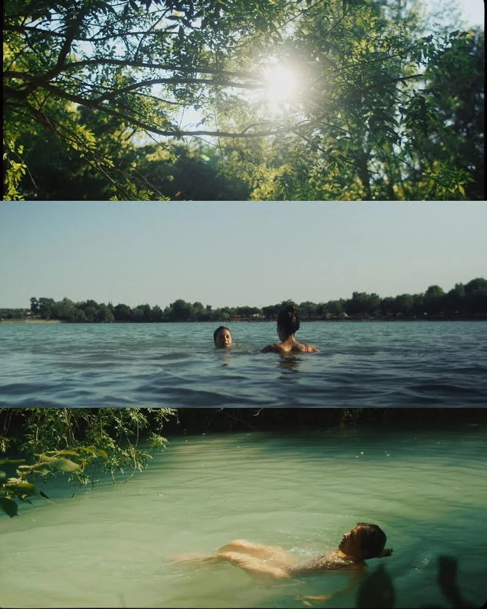 Incredibile work by @rowsfilms! BMPCC4K + Canon FD. Graded with our BUTTERY Natural Rec709!
