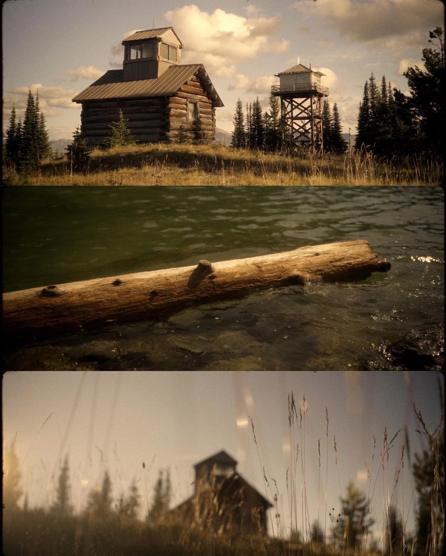 A great example of what you can achieve using our Creative LUTs! Gorgeous frames captured by @lennartbreede on his Sony A7III. Graded with our BUTTERY Tobacco Filter LUT! Any Sony shooters out there? Show us your work!