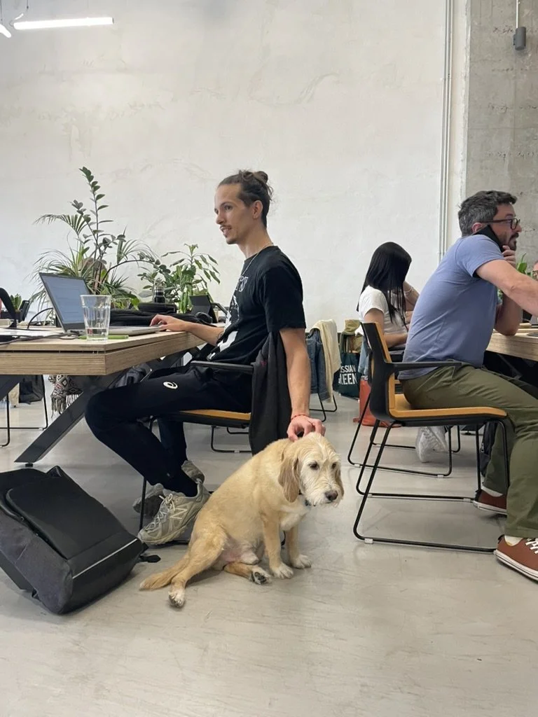 🪴 Por qué los espacios de coworking independientes son el futuro (y por qué te encantará Area)