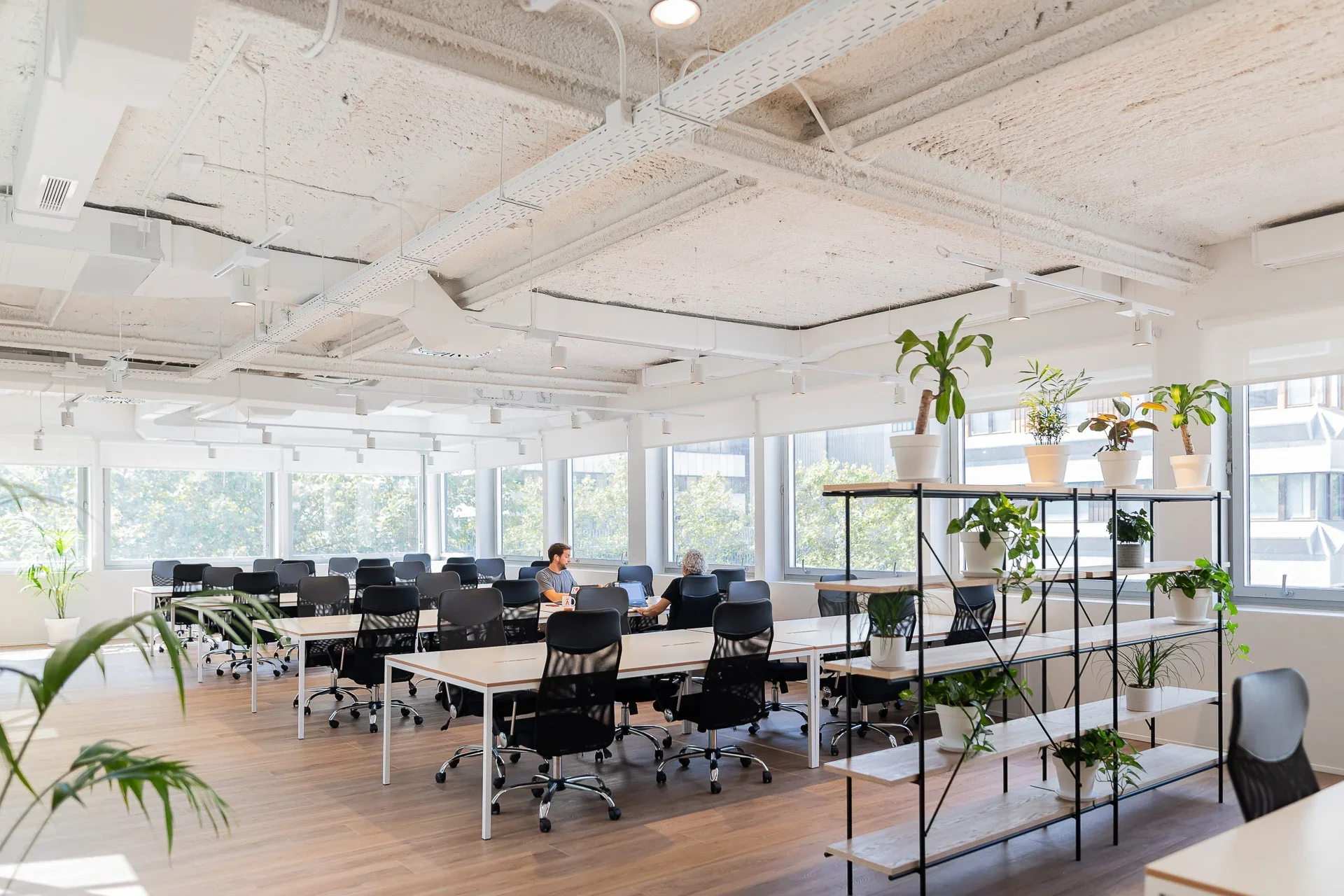 Por qué el coworking funciona: los 7 beneficios inesperados que más mencionan nuestros miembros