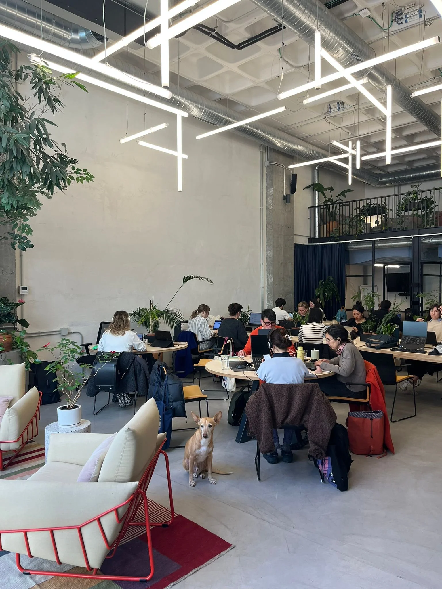 Busy but quiet: how Area stays calm even on a full house