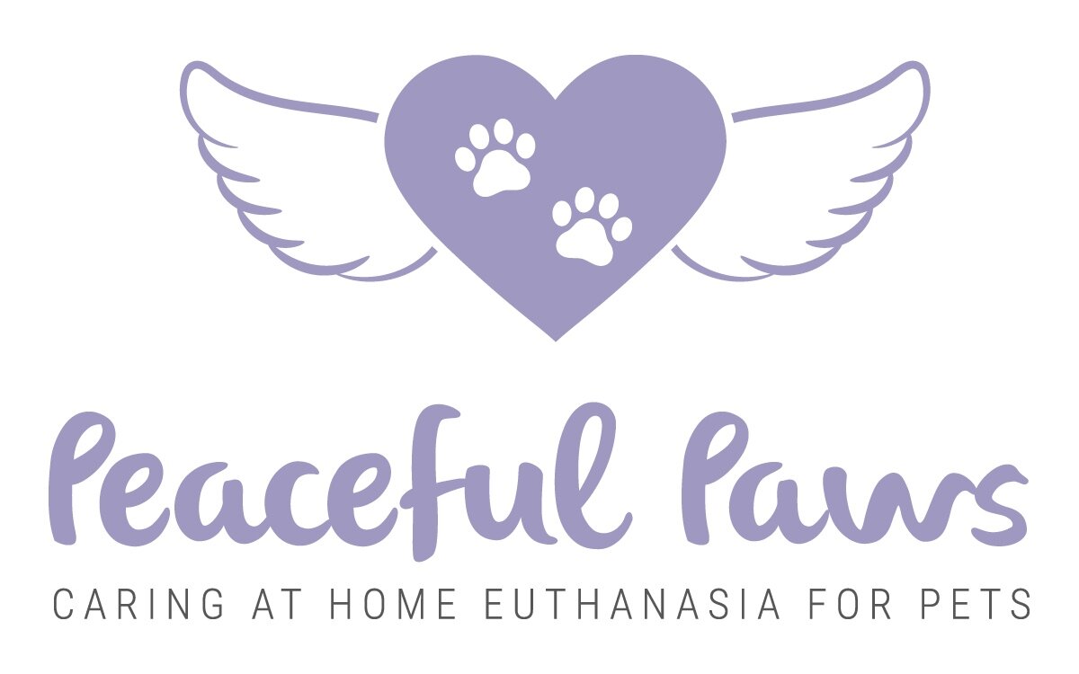 Peaceful Paws pet dog cat euthanasia at home by a caring vet in South Adelaide