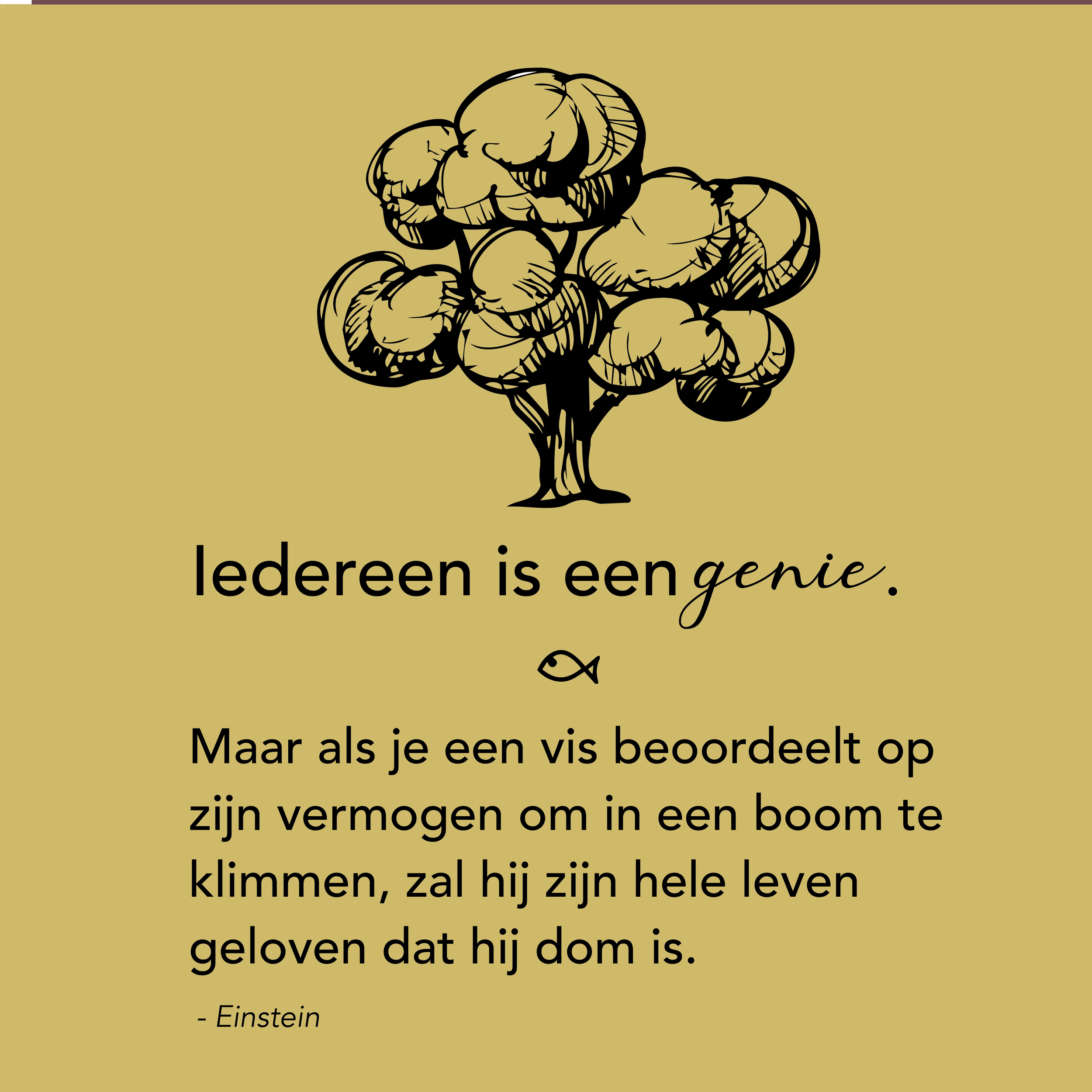 Een school kiezen vanuit vertrouwen in het unieke kind
